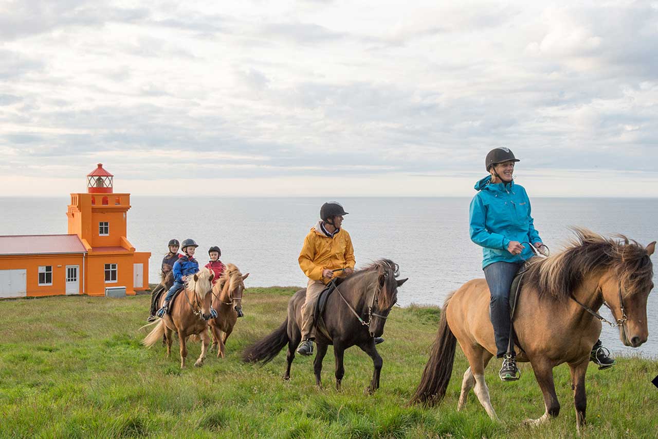 Horse riding in Iceland in summer