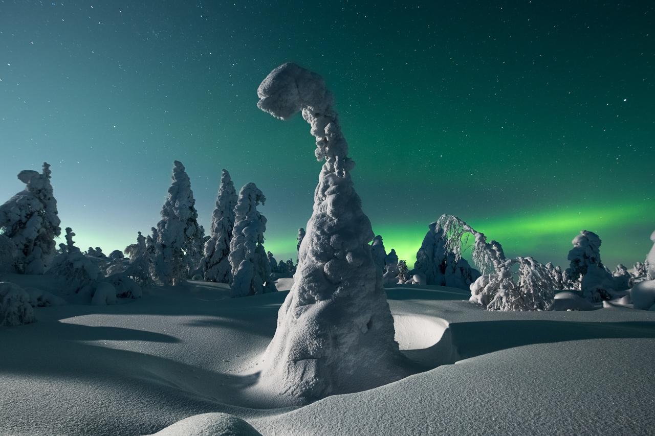 Arctic scenery with Northern Lights
