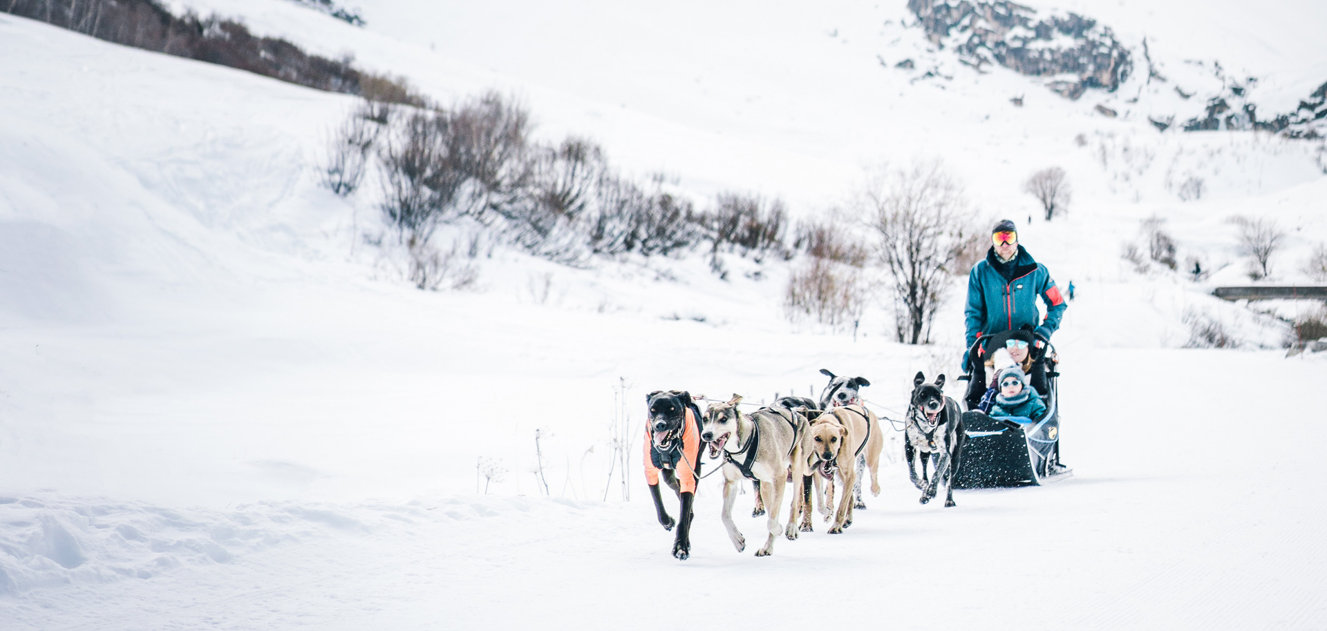 Dog sledding in Val d'Isere