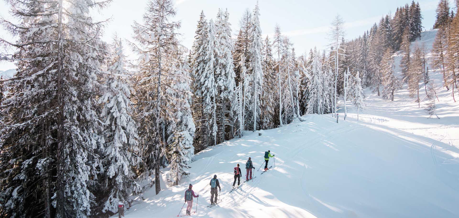 Ski touring in the Swiss Alps