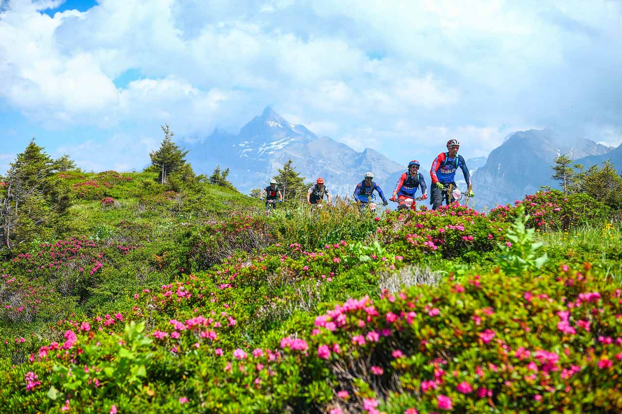 Group cycling in Les Gets