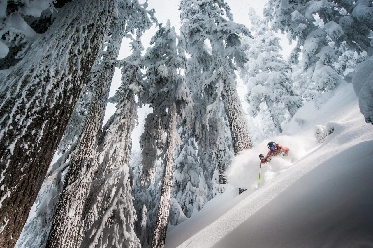 Tree skiing n Whistler
