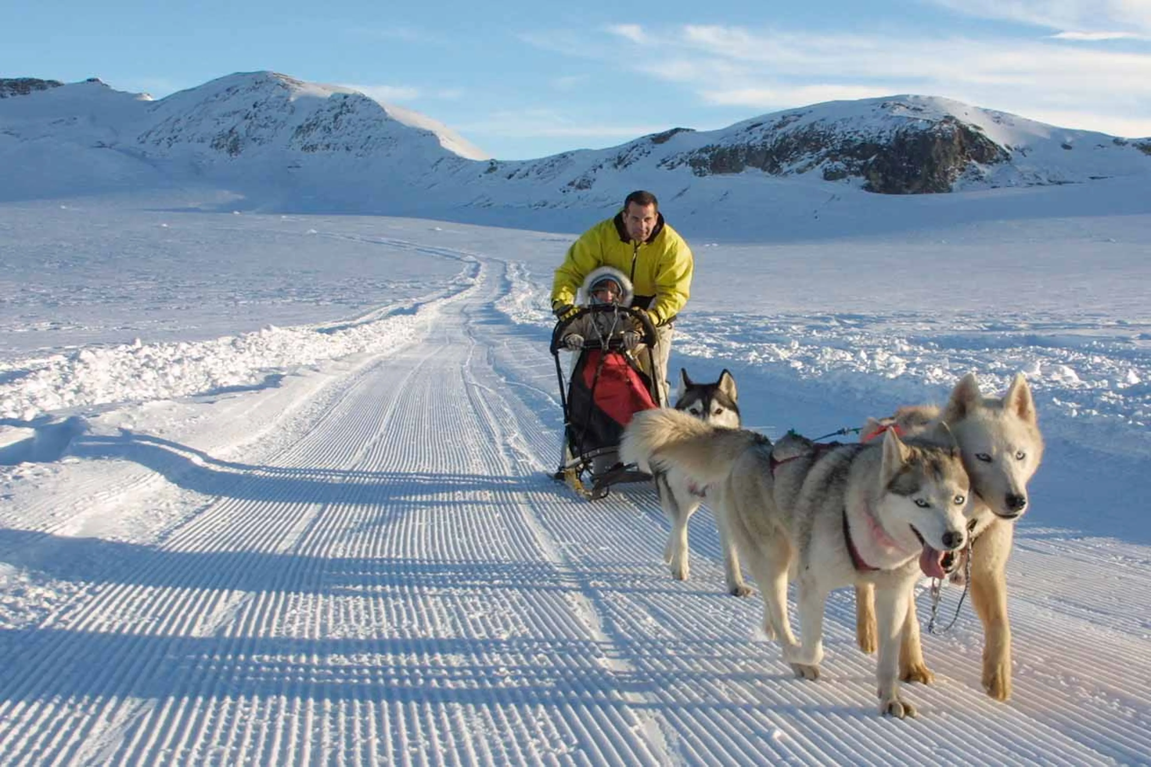 Dog sledding on the glacier in Crans Montana
