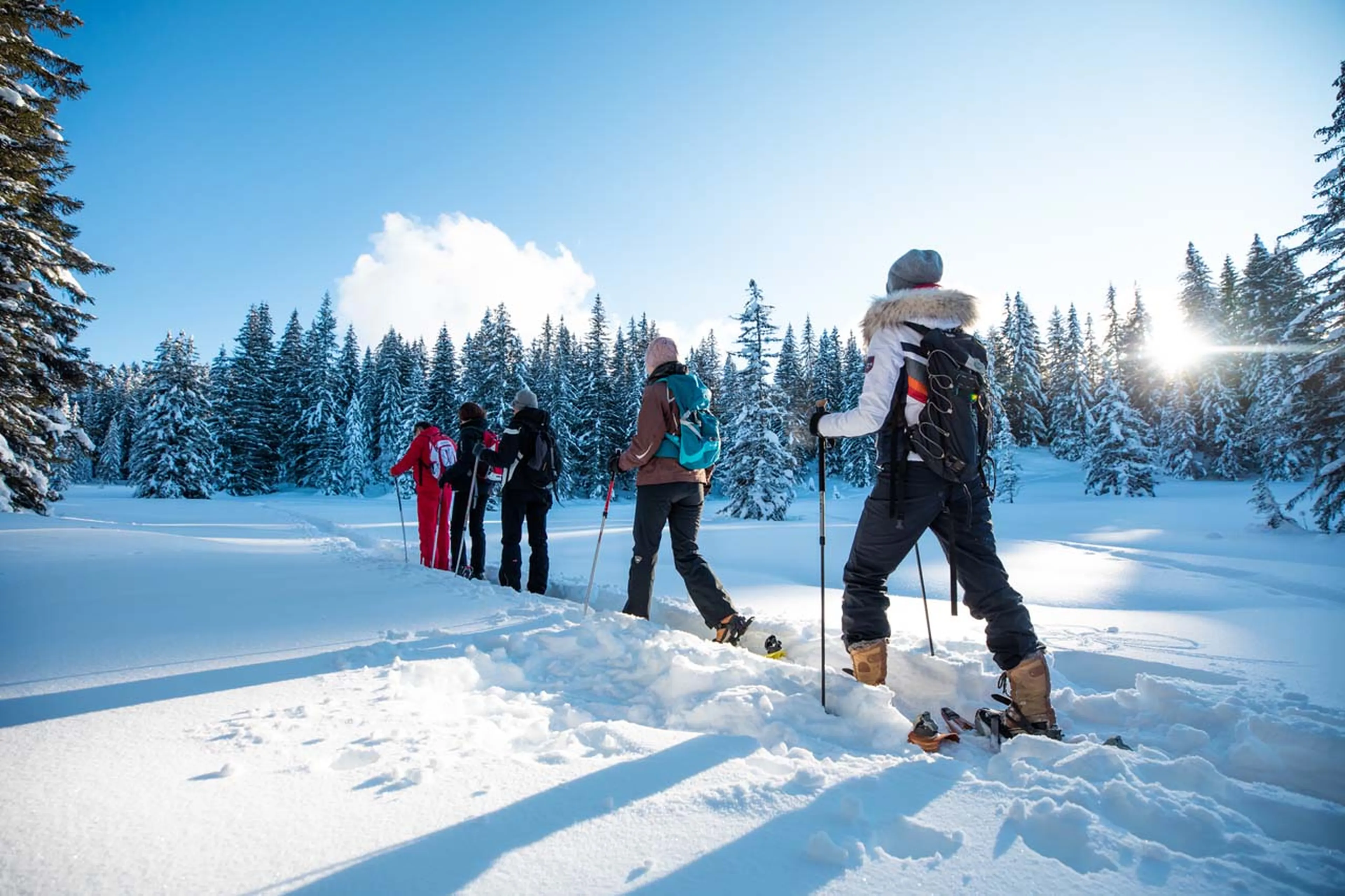 Group snowshoeing in Les Gets
