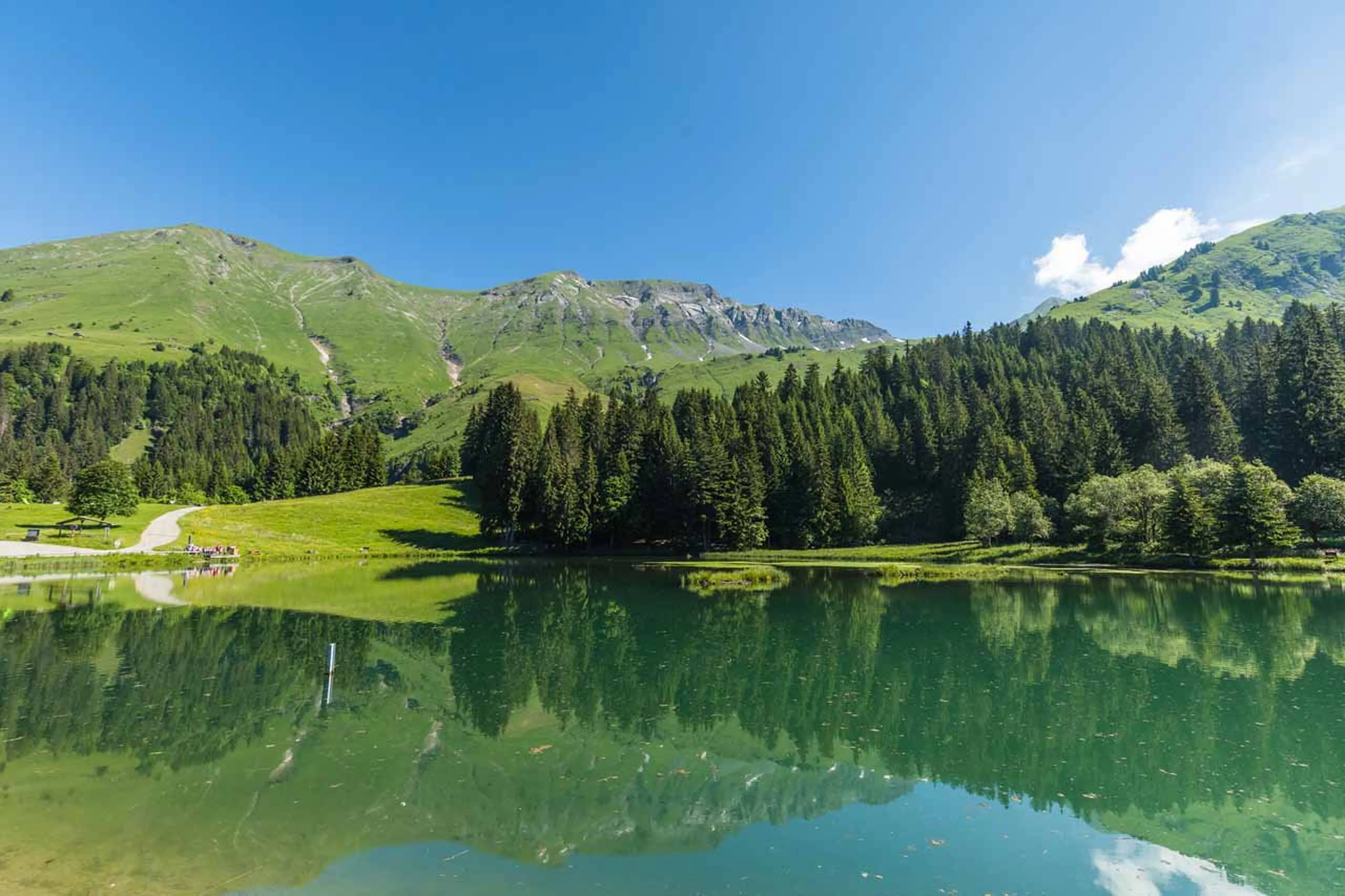 Lake in Morzine surrounded by trees