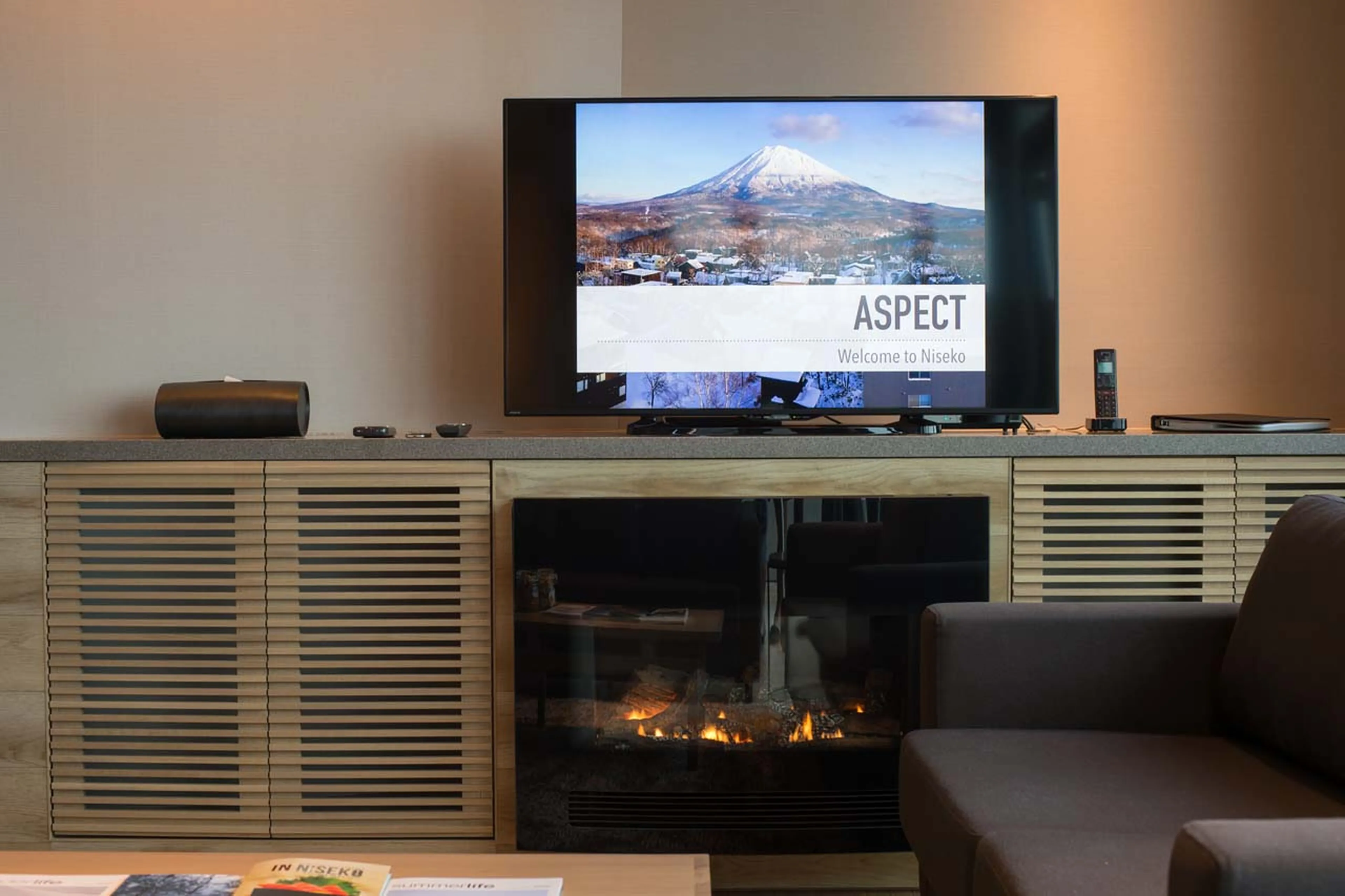 Fireplace and TV in living area of Apartment Aspect 2 in Niseko