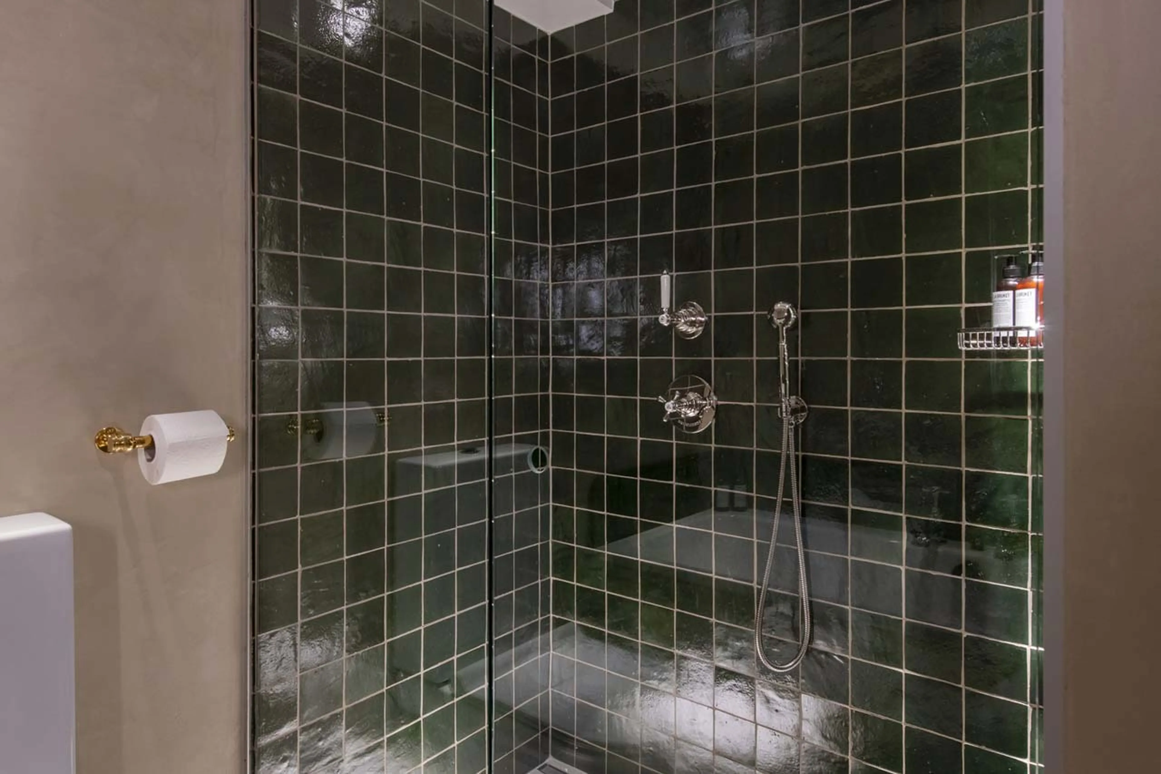 Shower in master bathroom in Apartment Brunnenhof 8 in Lech