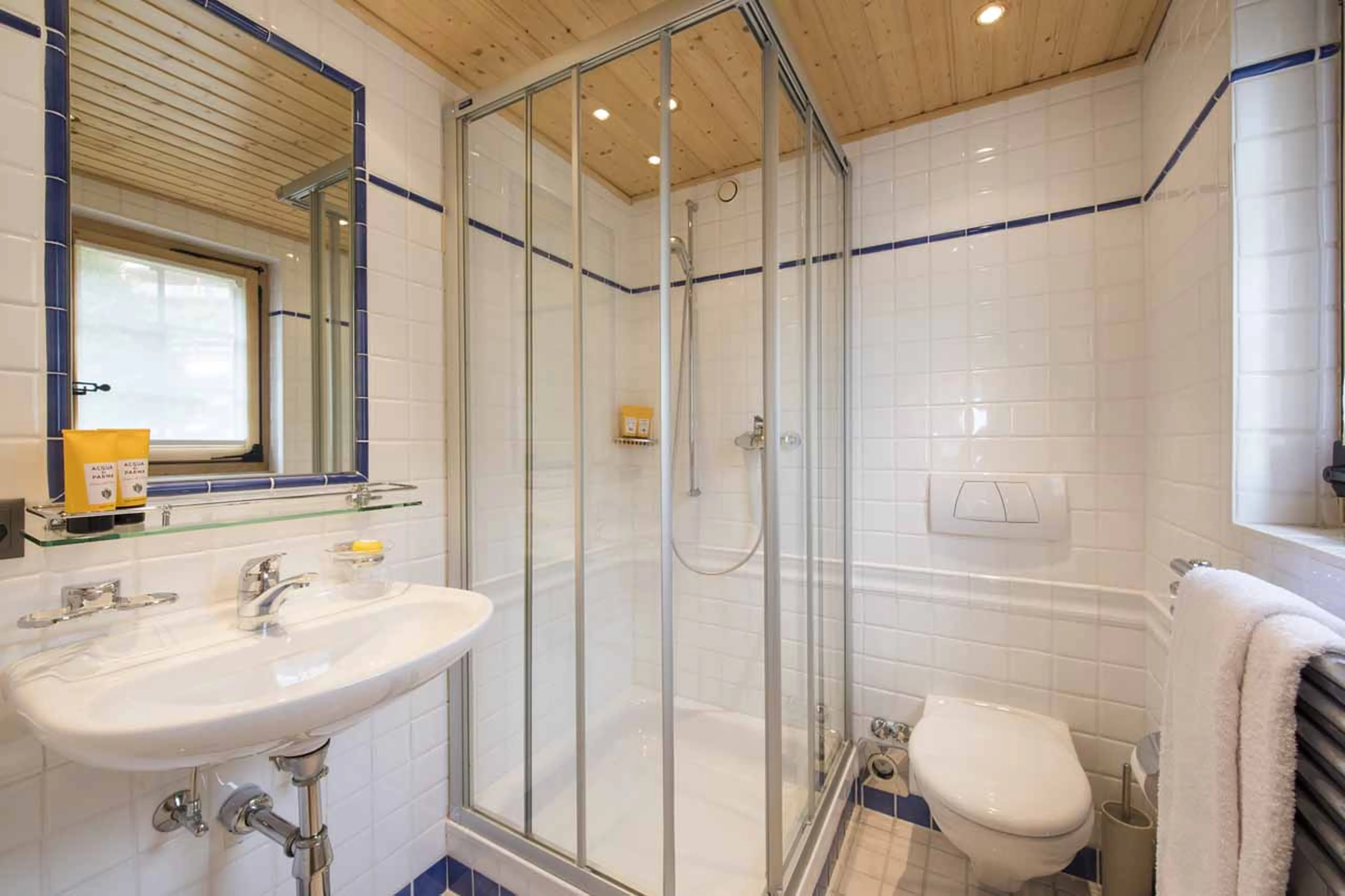 En-suite shower room at Apartment Fleur de Lin in Verbier
