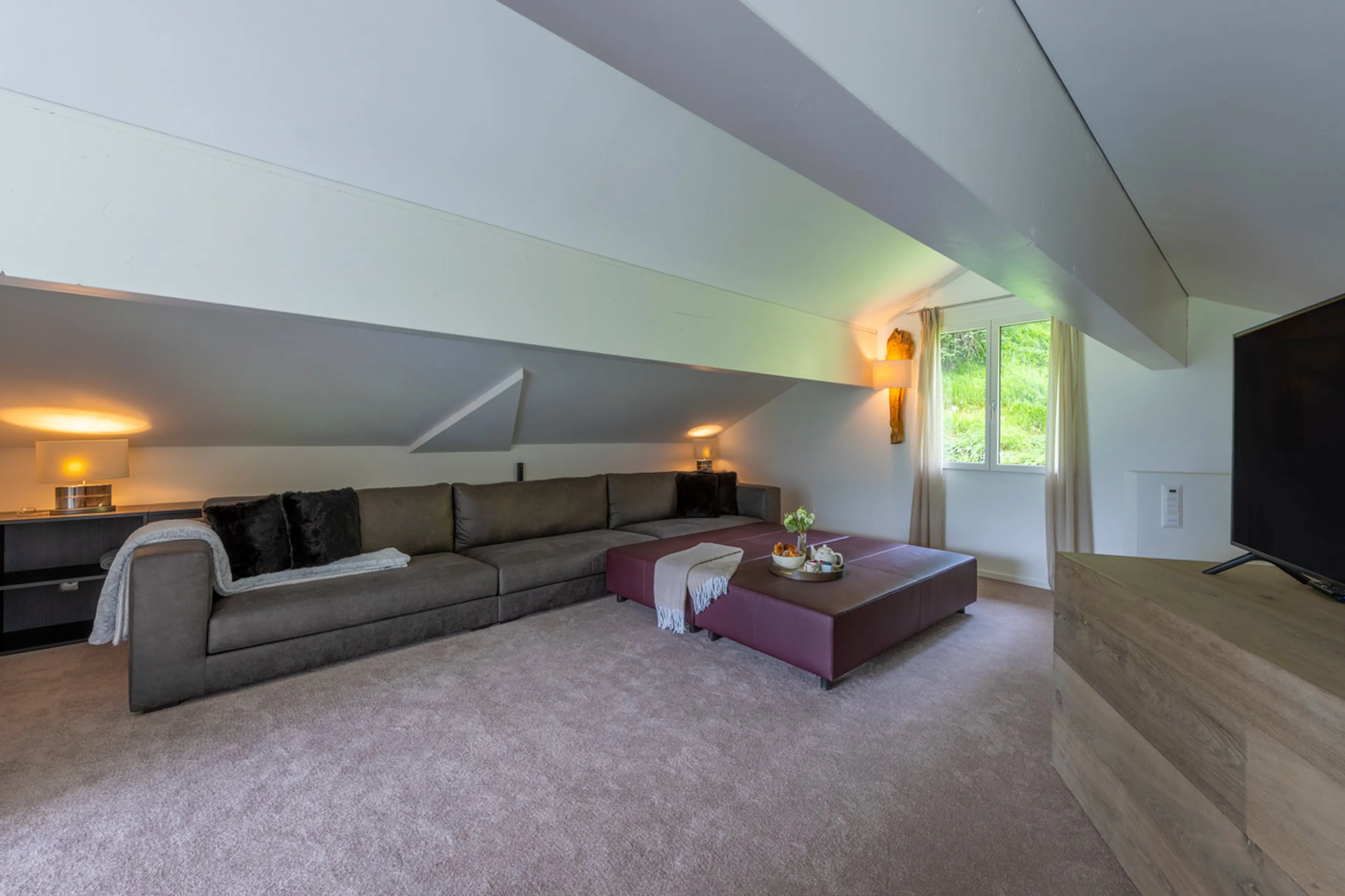 TV room at Seehorn in Bortji Estate in Davos