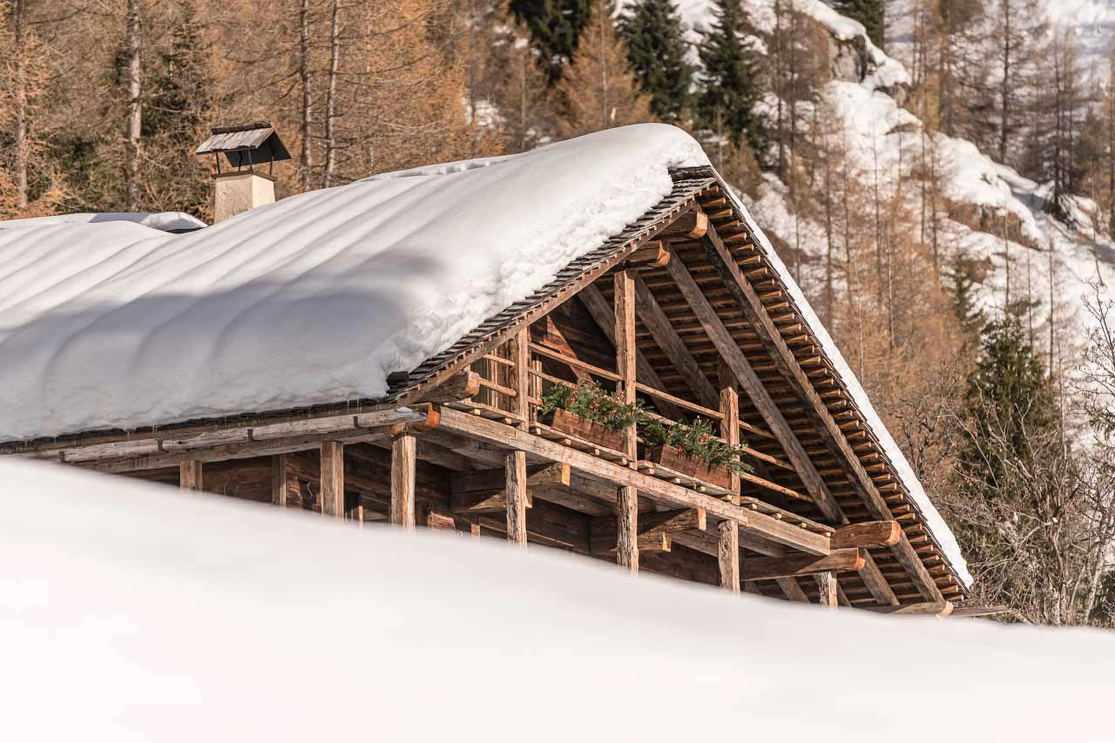Exterior of Cesa del Louf Maso in Arabba