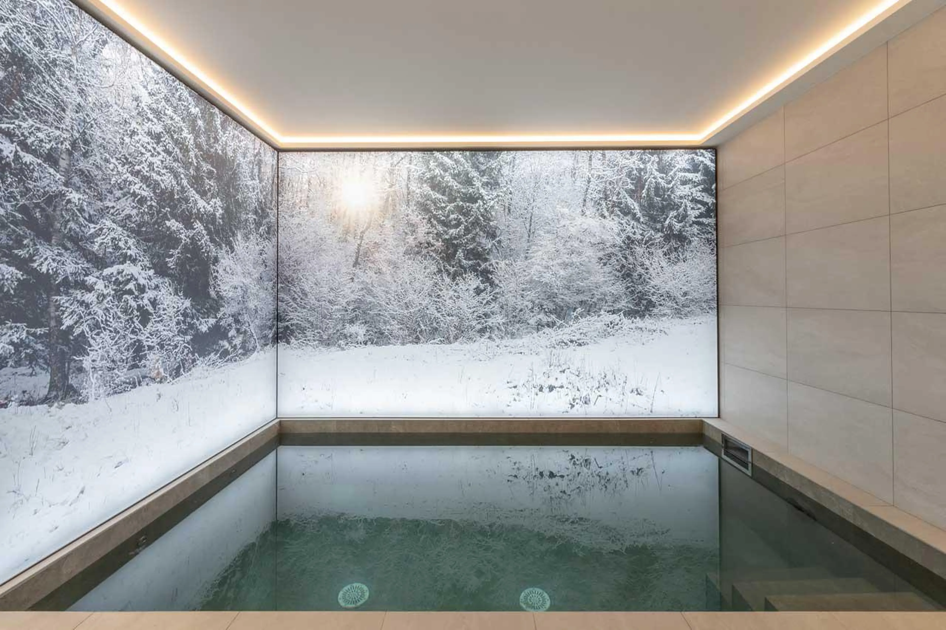 Swim spa at Chalet Bois de l'Abbaye in Courchevel Le Praz