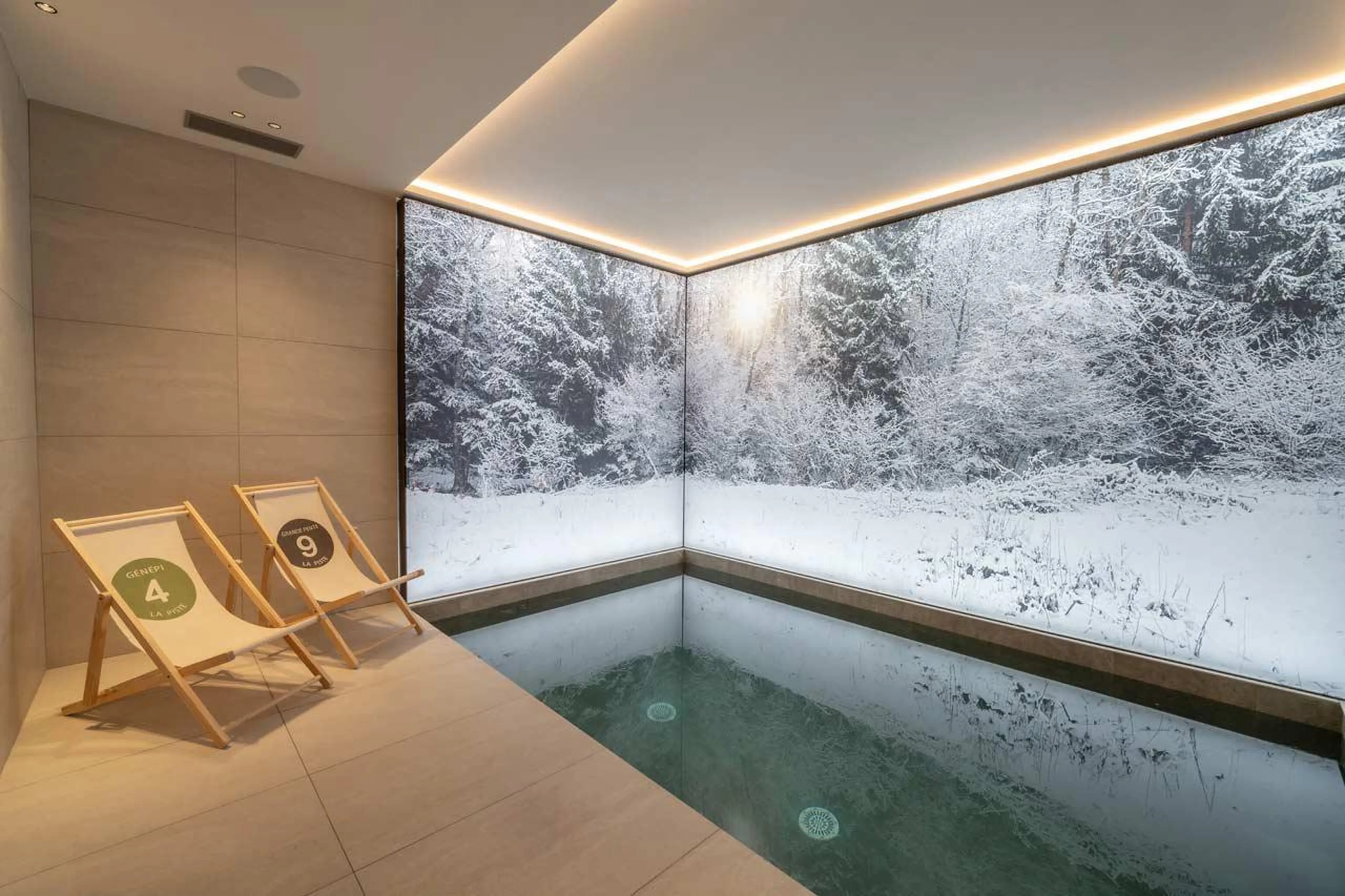 Swim spa at Chalet Bois de l'Abbaye in Courchevel Le Praz