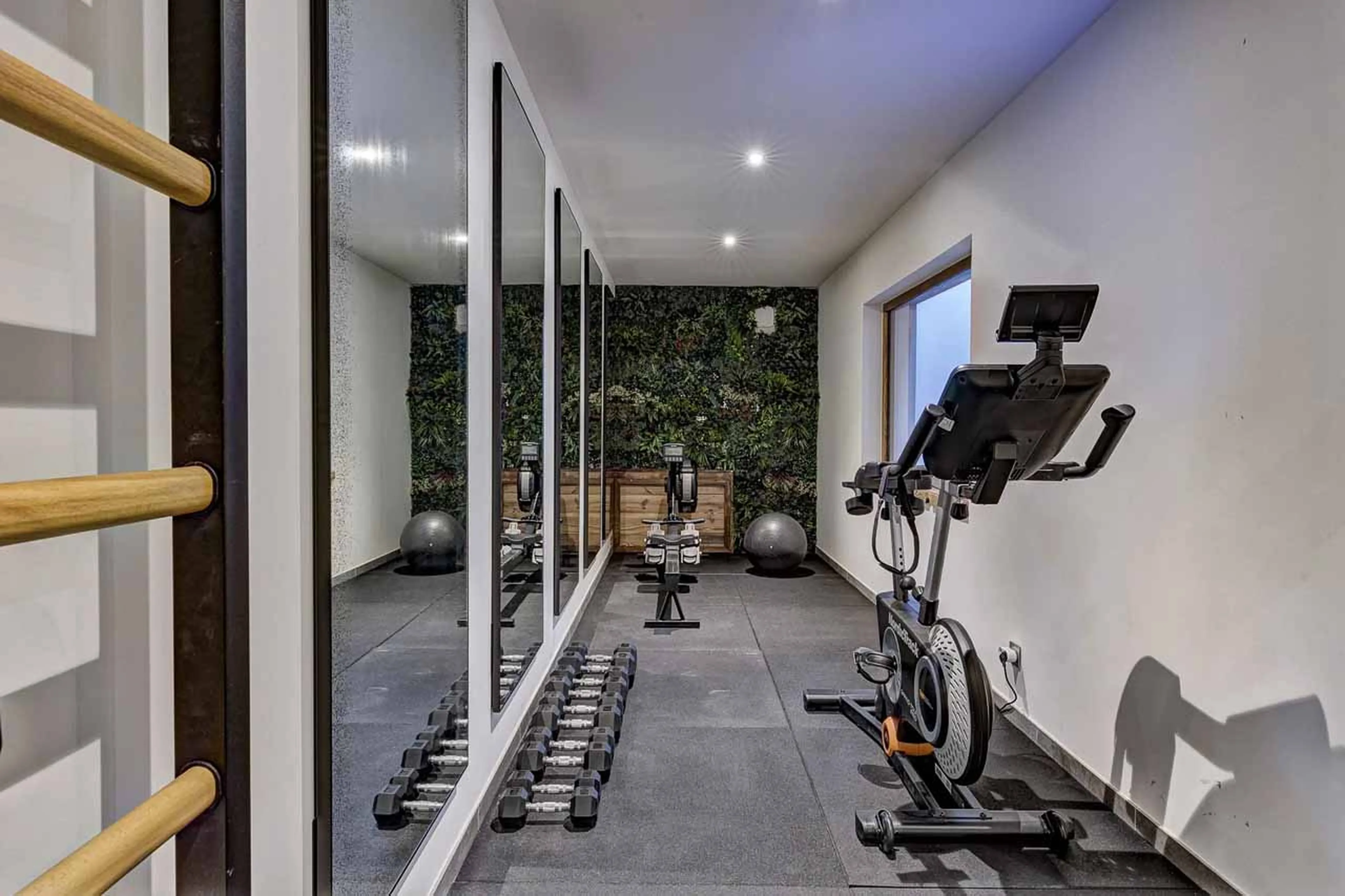 Gym at Chalet Goldilocks in Mozine