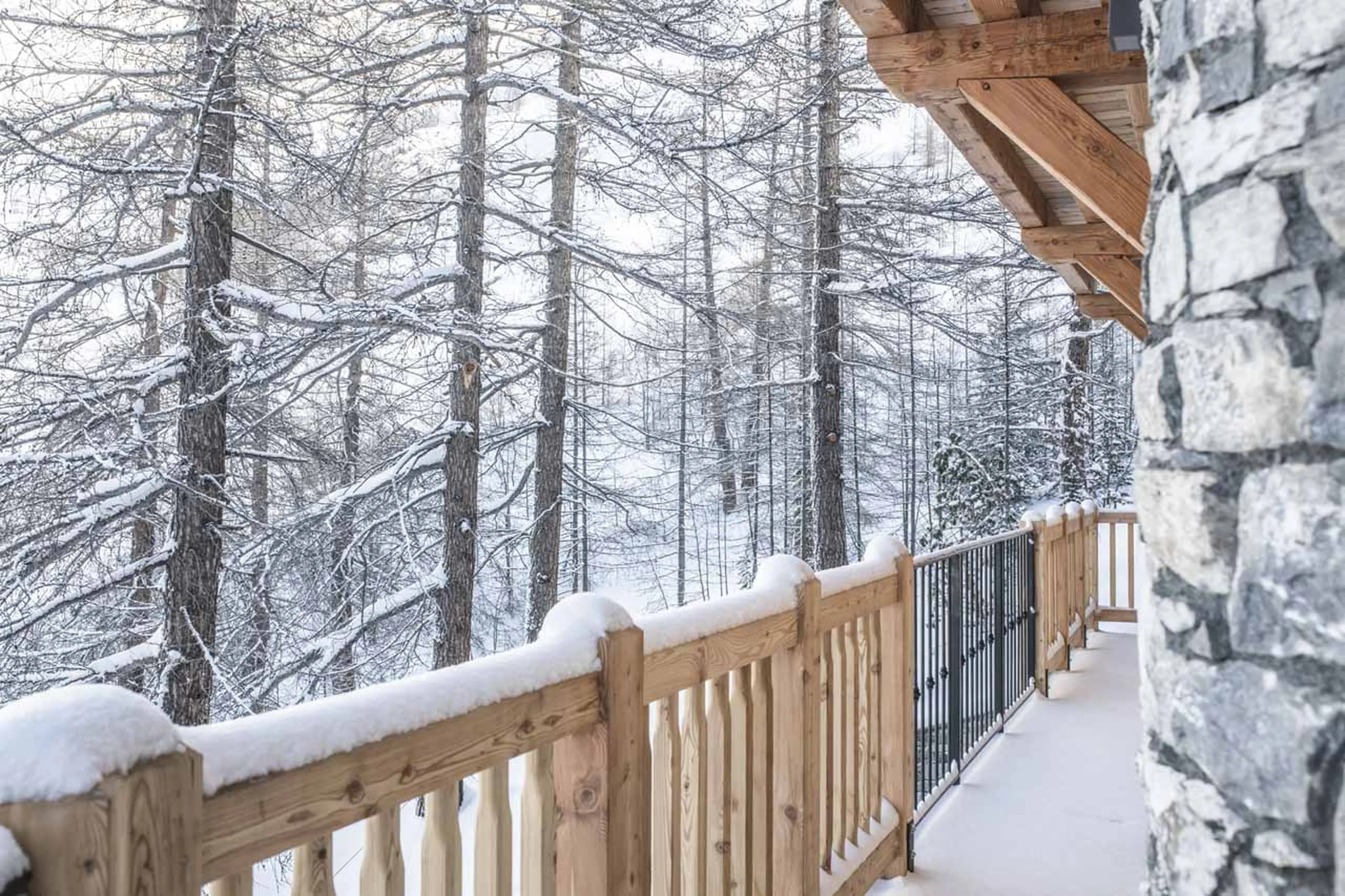 View of forest from Chalet O Valala in Val d'Isere