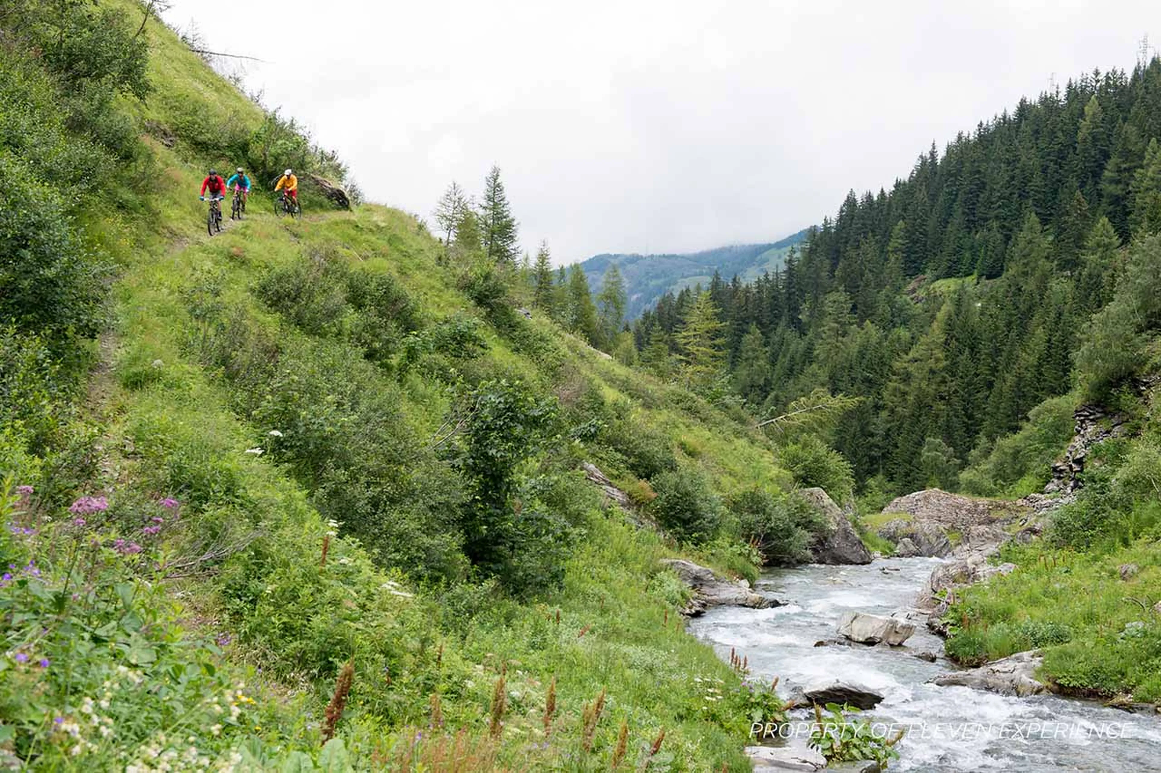 Mountain biking trail in Le Miroir in summer