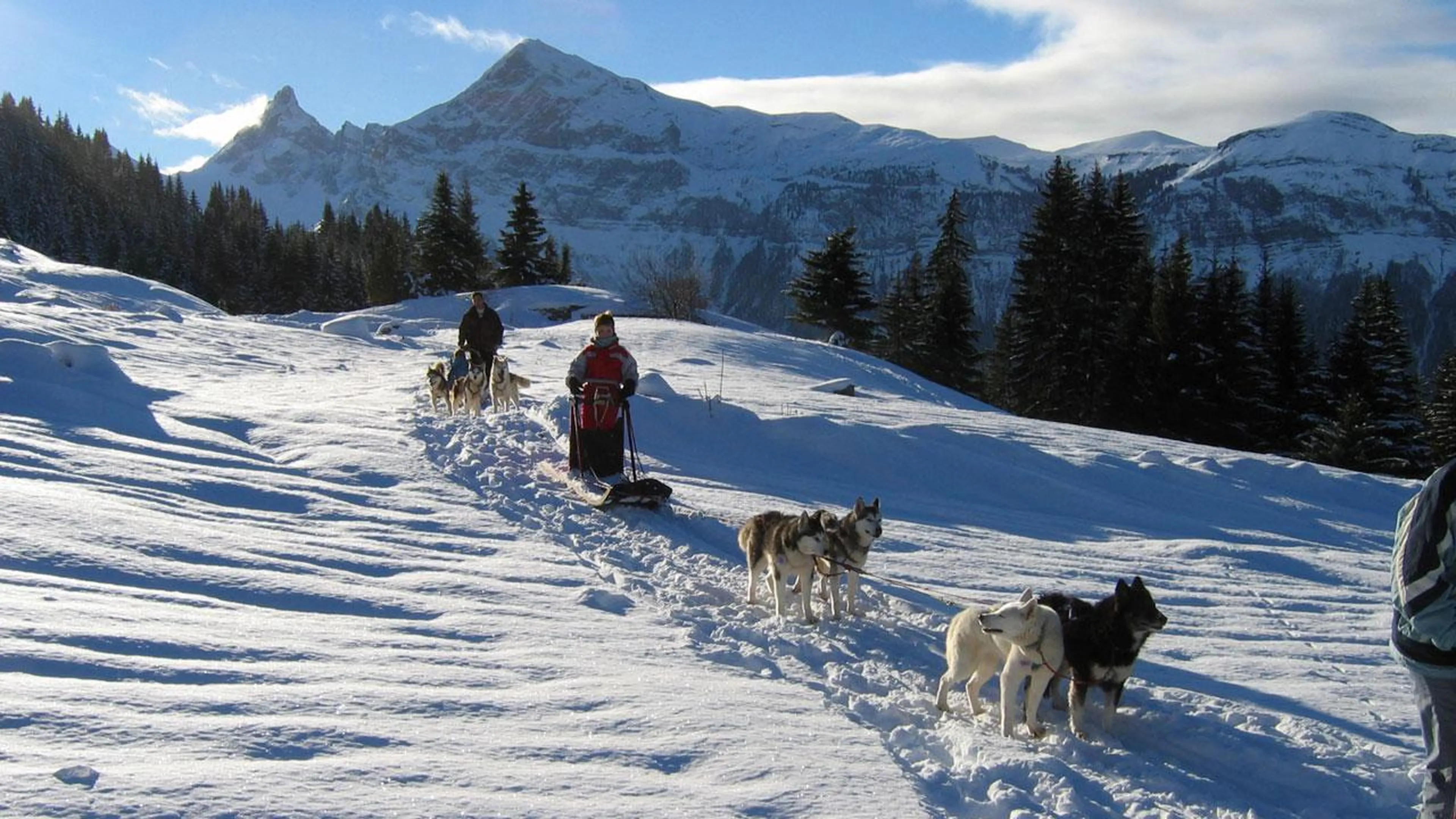 Dog sledding in Chamonix