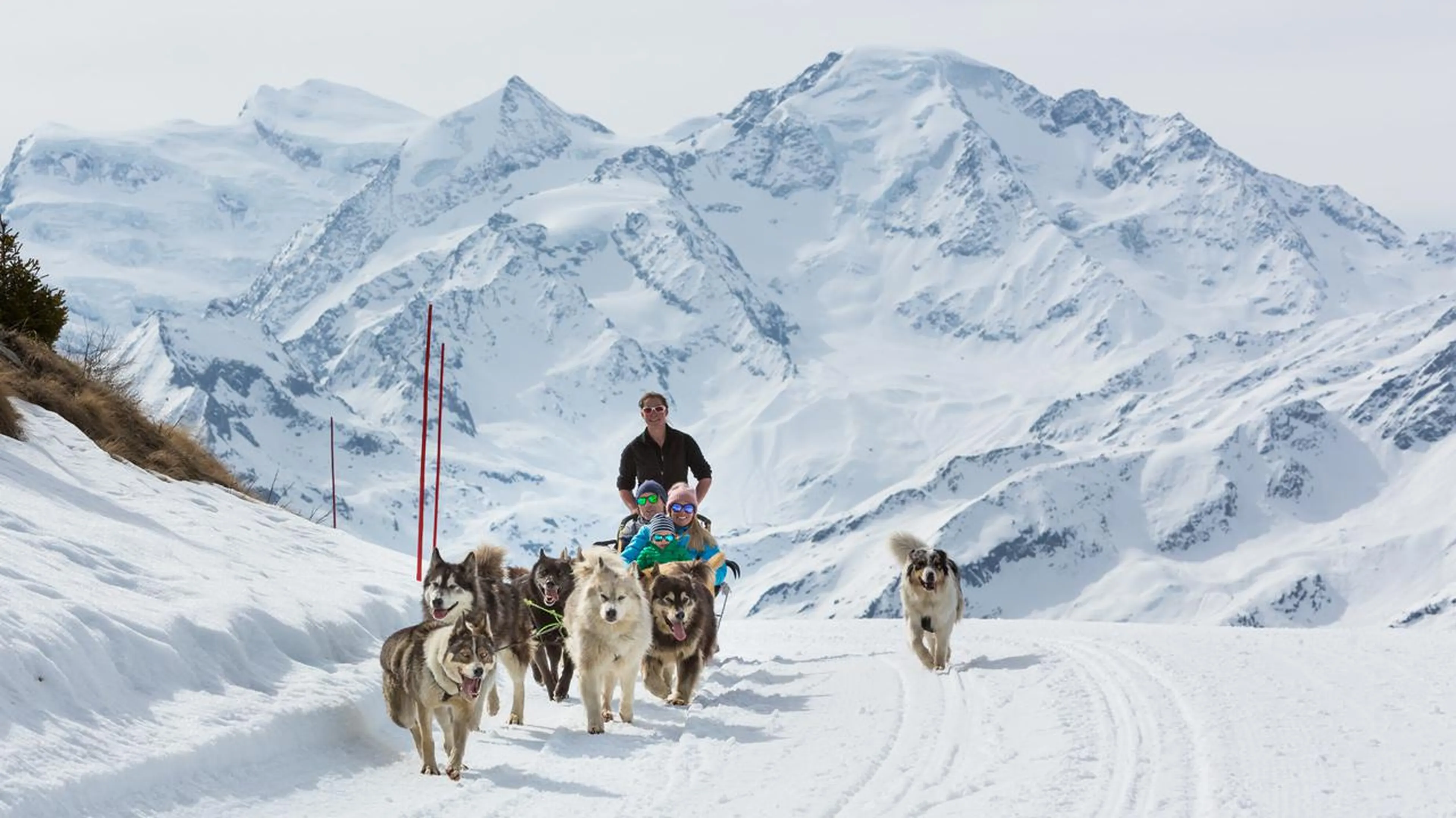 Dog sledding in Verbier