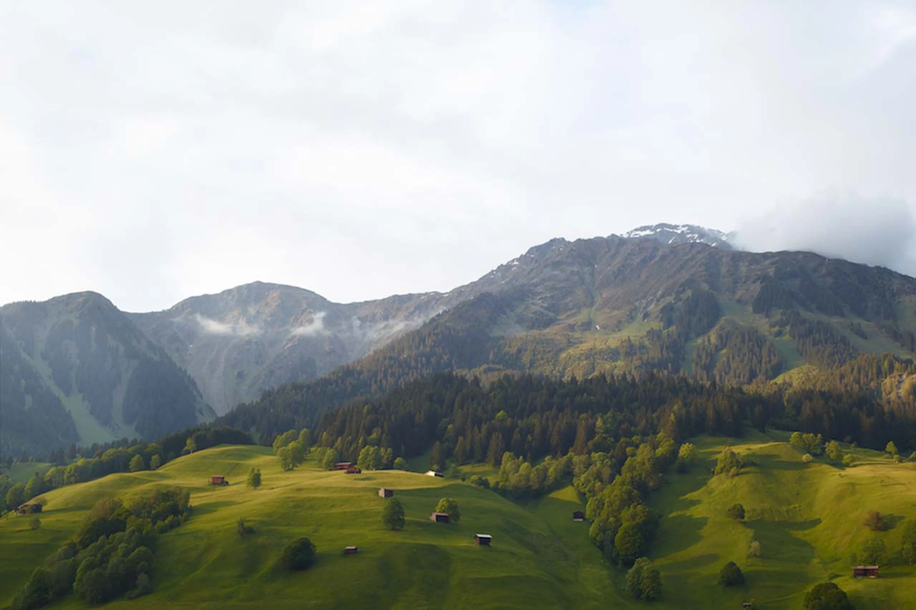 View from master bedroom in summer in Haus Alipina in Klosters