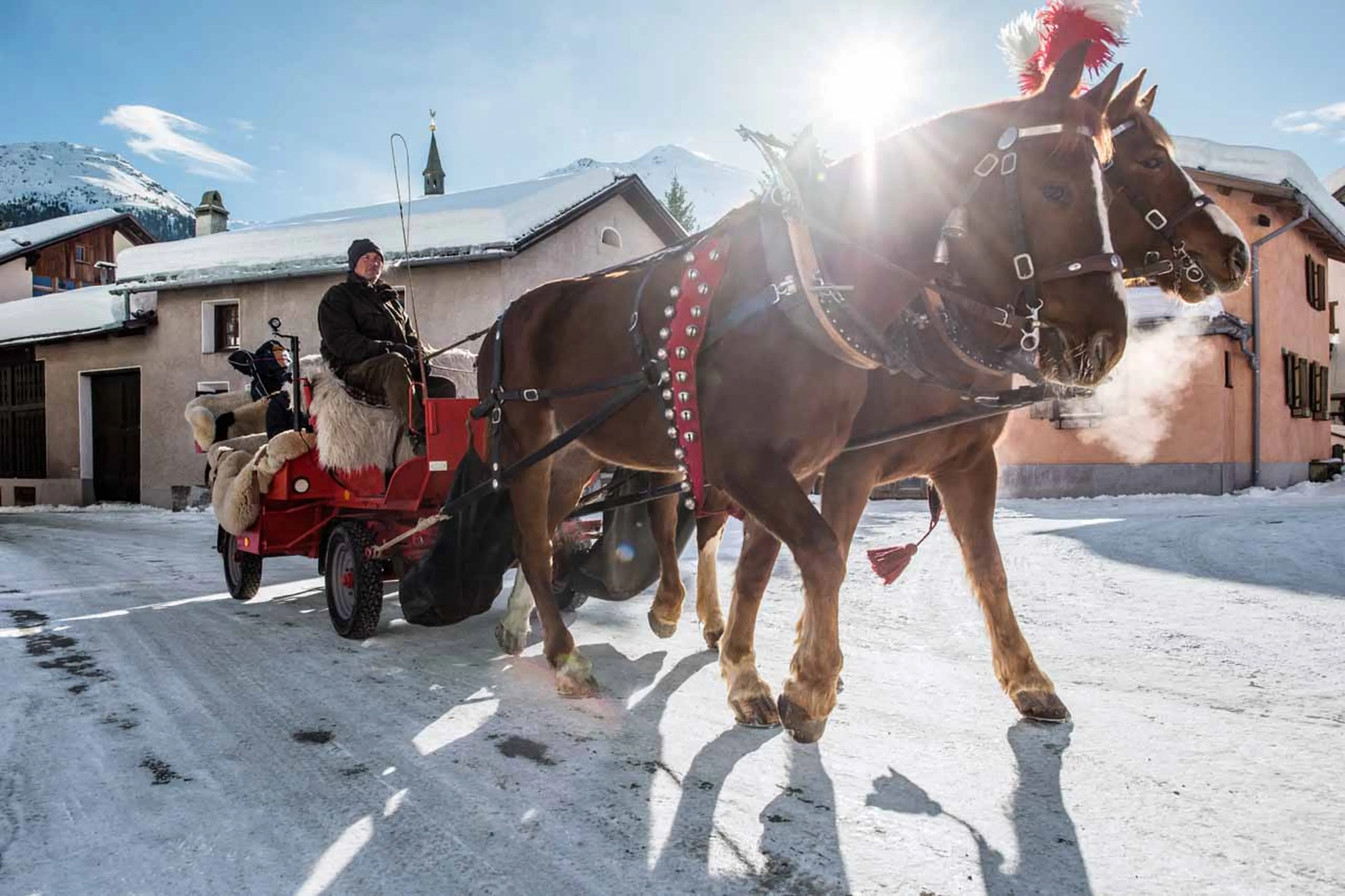 Horse & Carriage ride in Gstaad