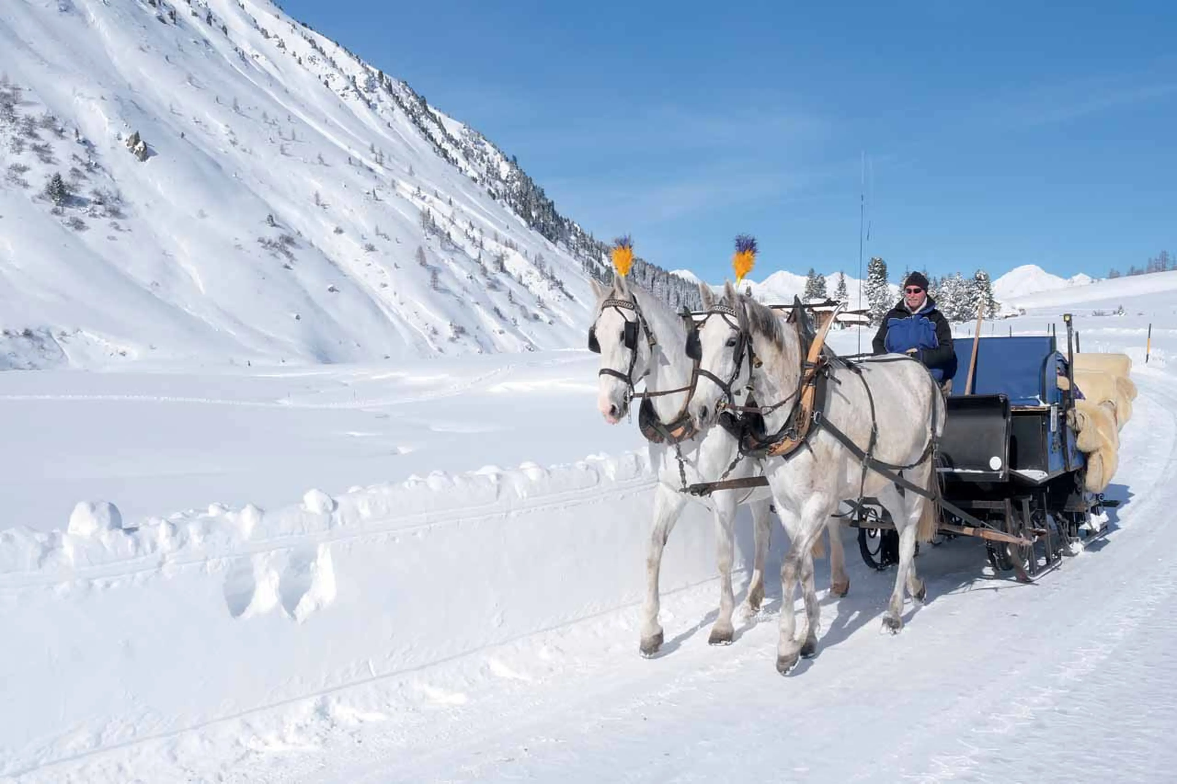Horse & Carriage ride in Klosters