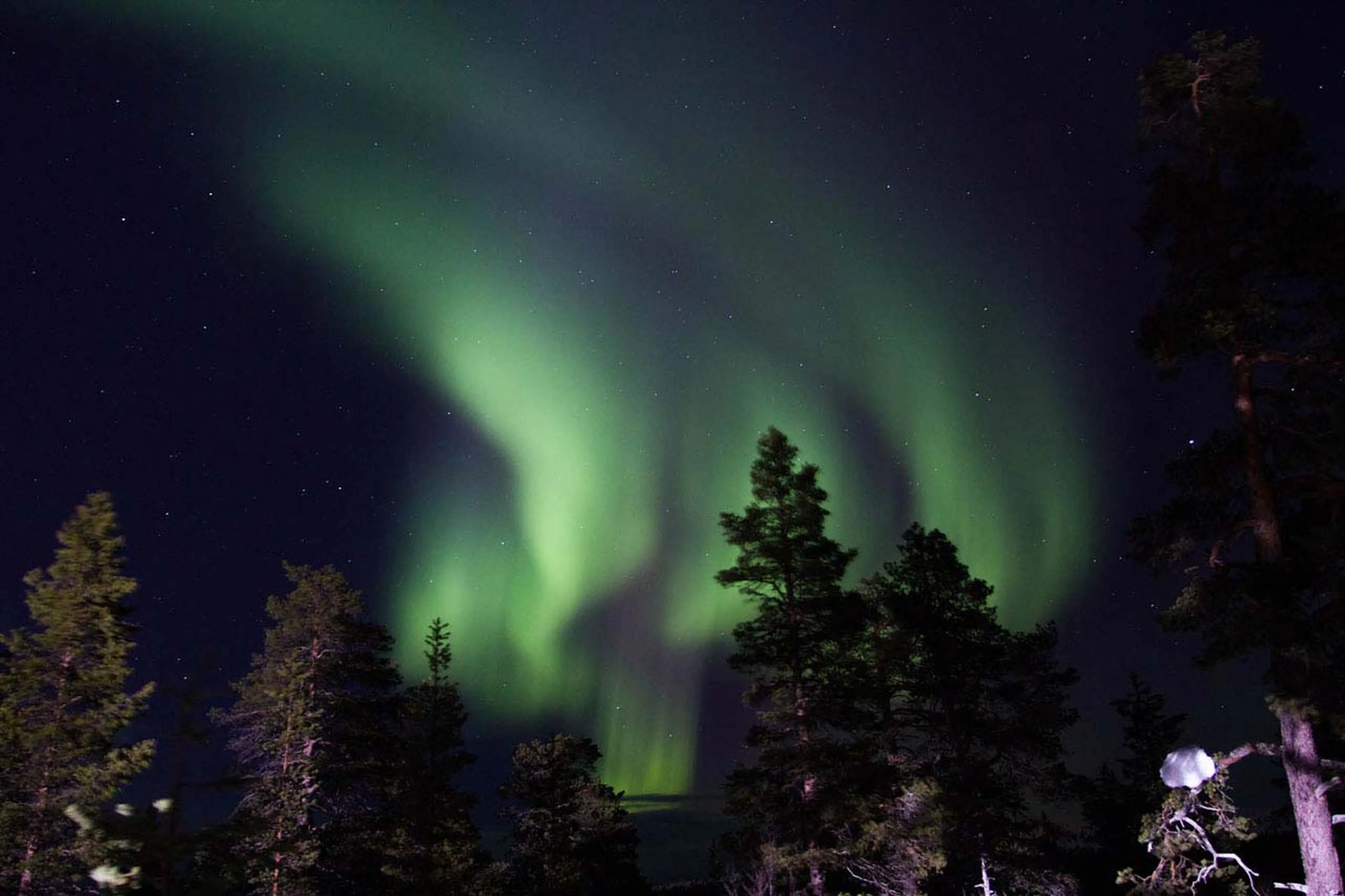 Northern lights at Javri Lodge in Finland