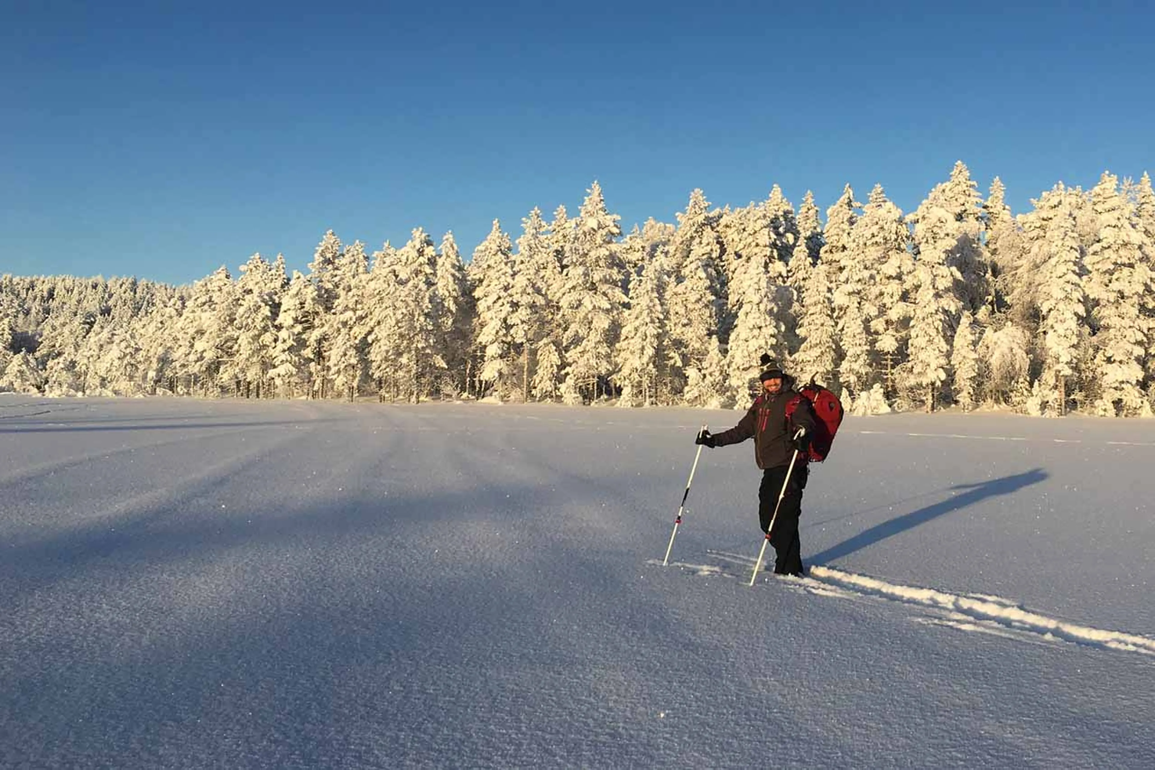 Ski touring in wilderness at Logger's Lodge in Sweden