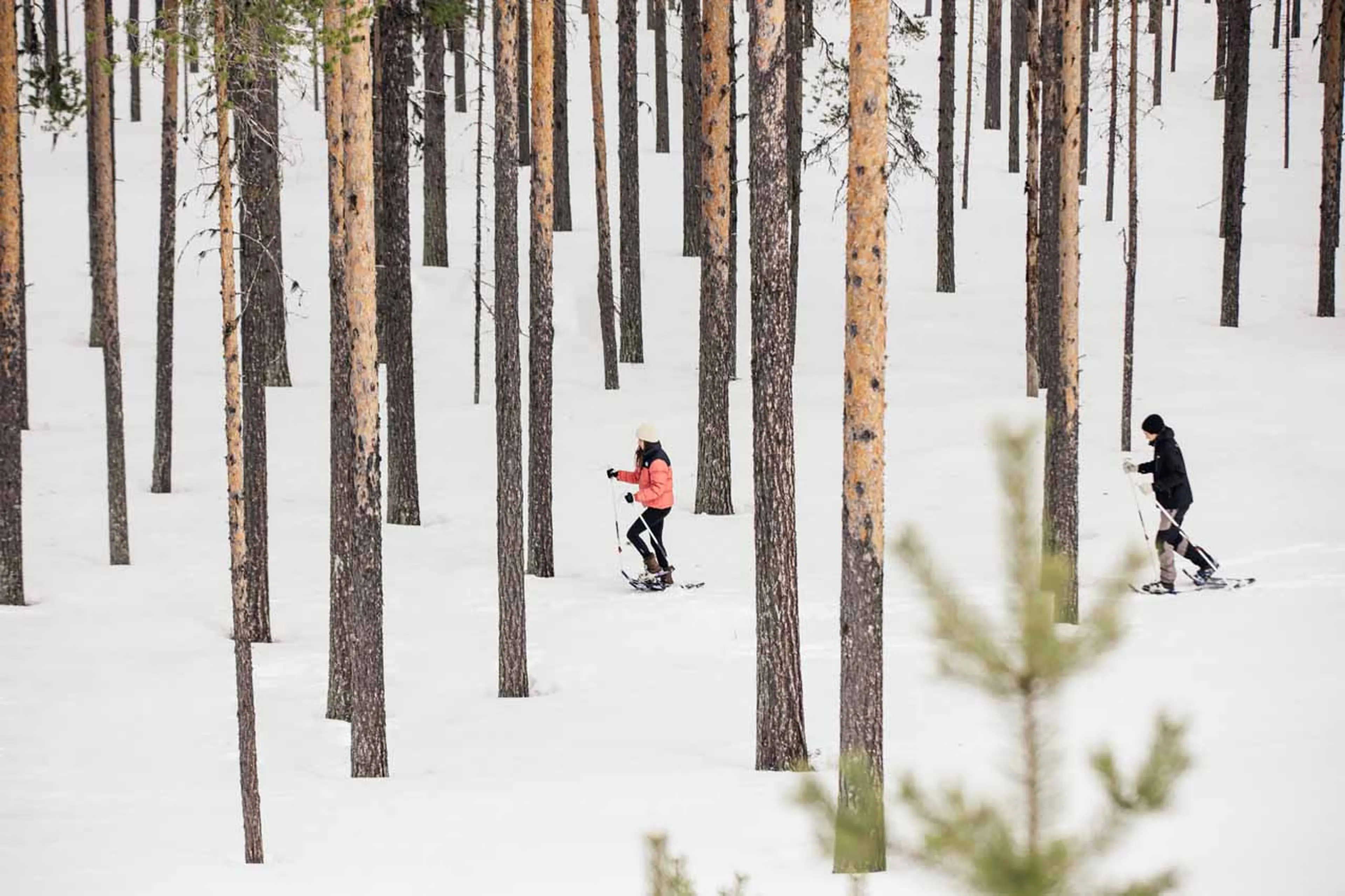 Snowshoeing at Logger's Lodge in Sweden