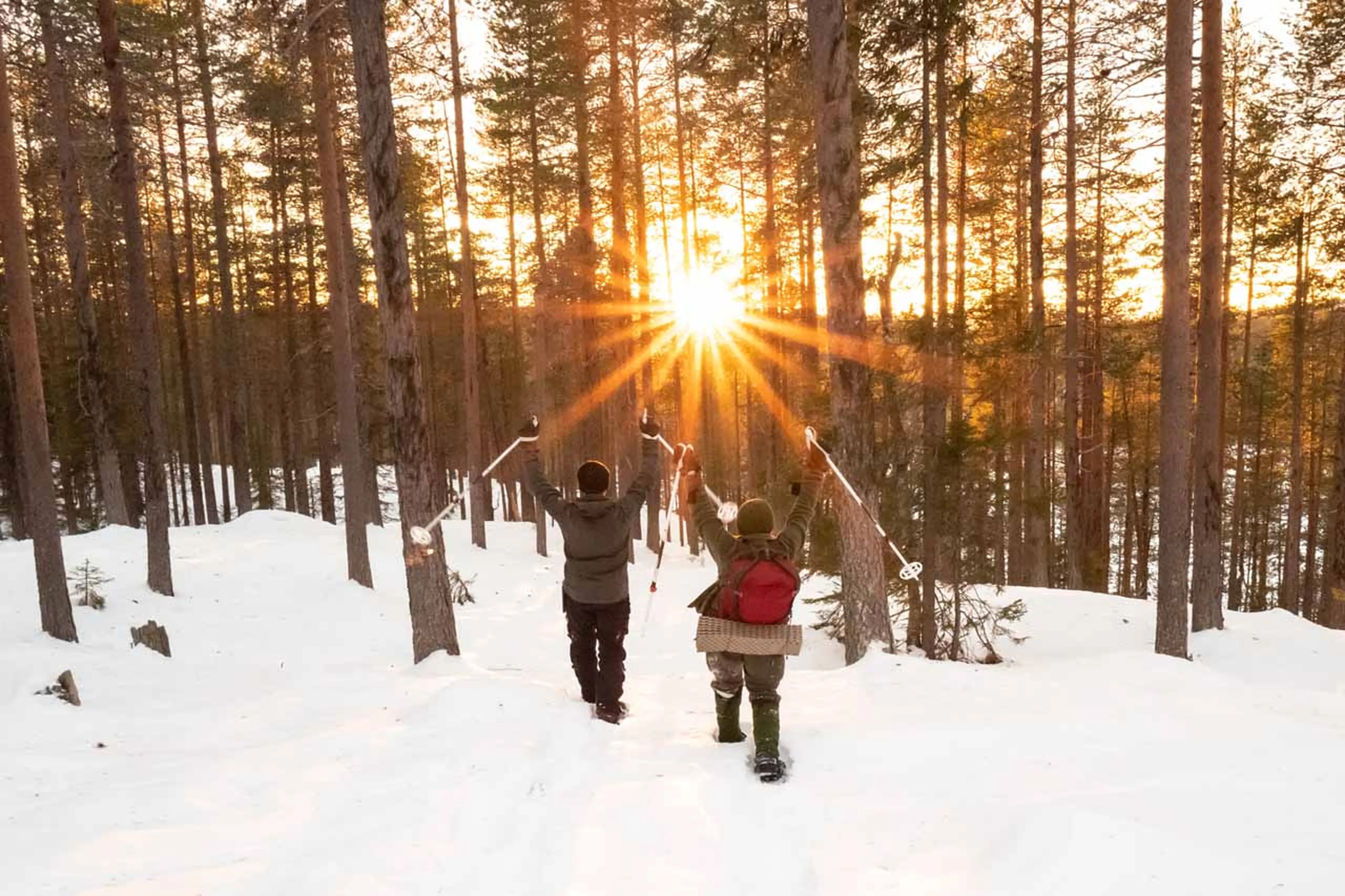 Ski touring at Logger's Lodge in Sweden