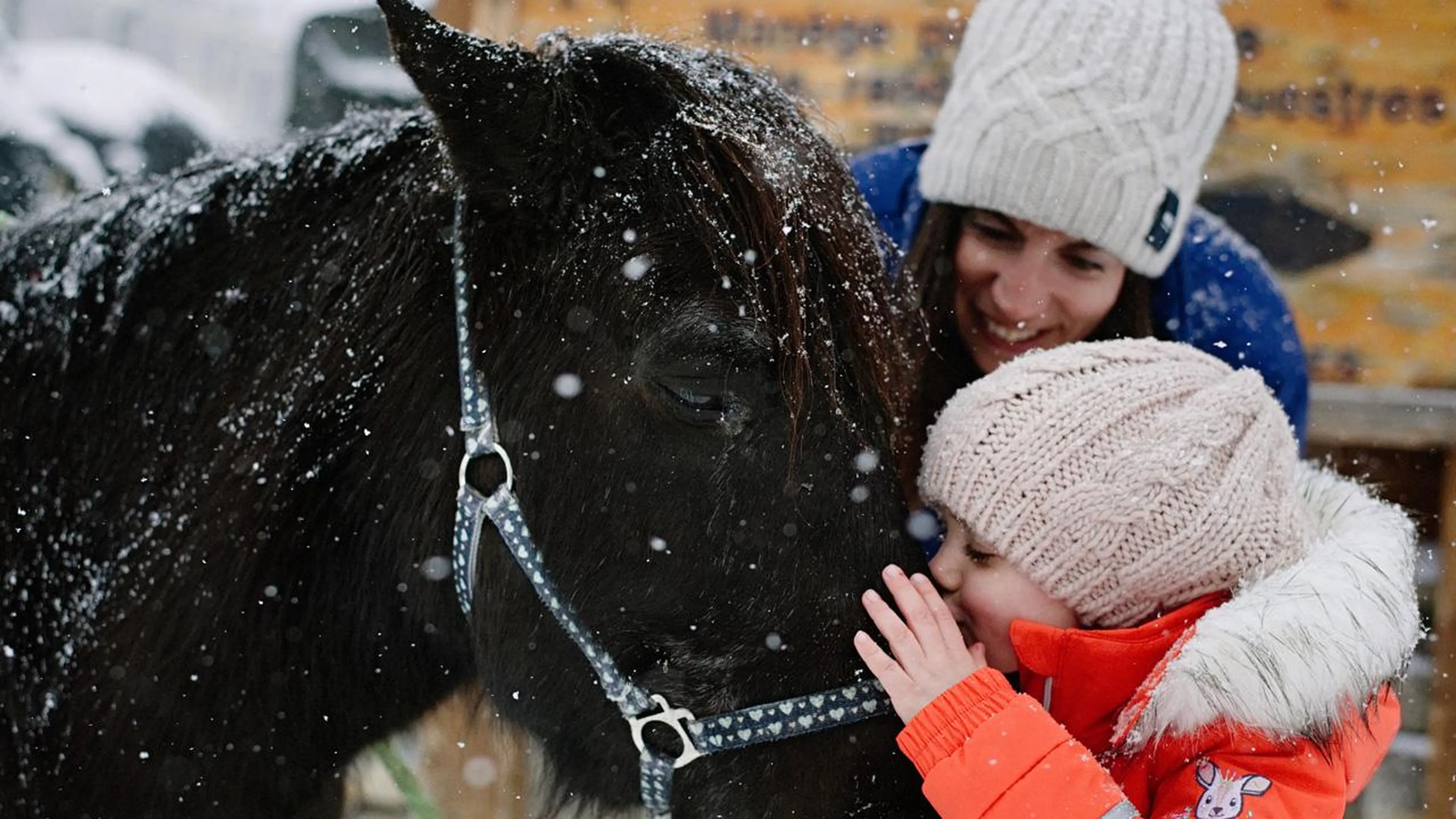 Horseriding in Courchevel