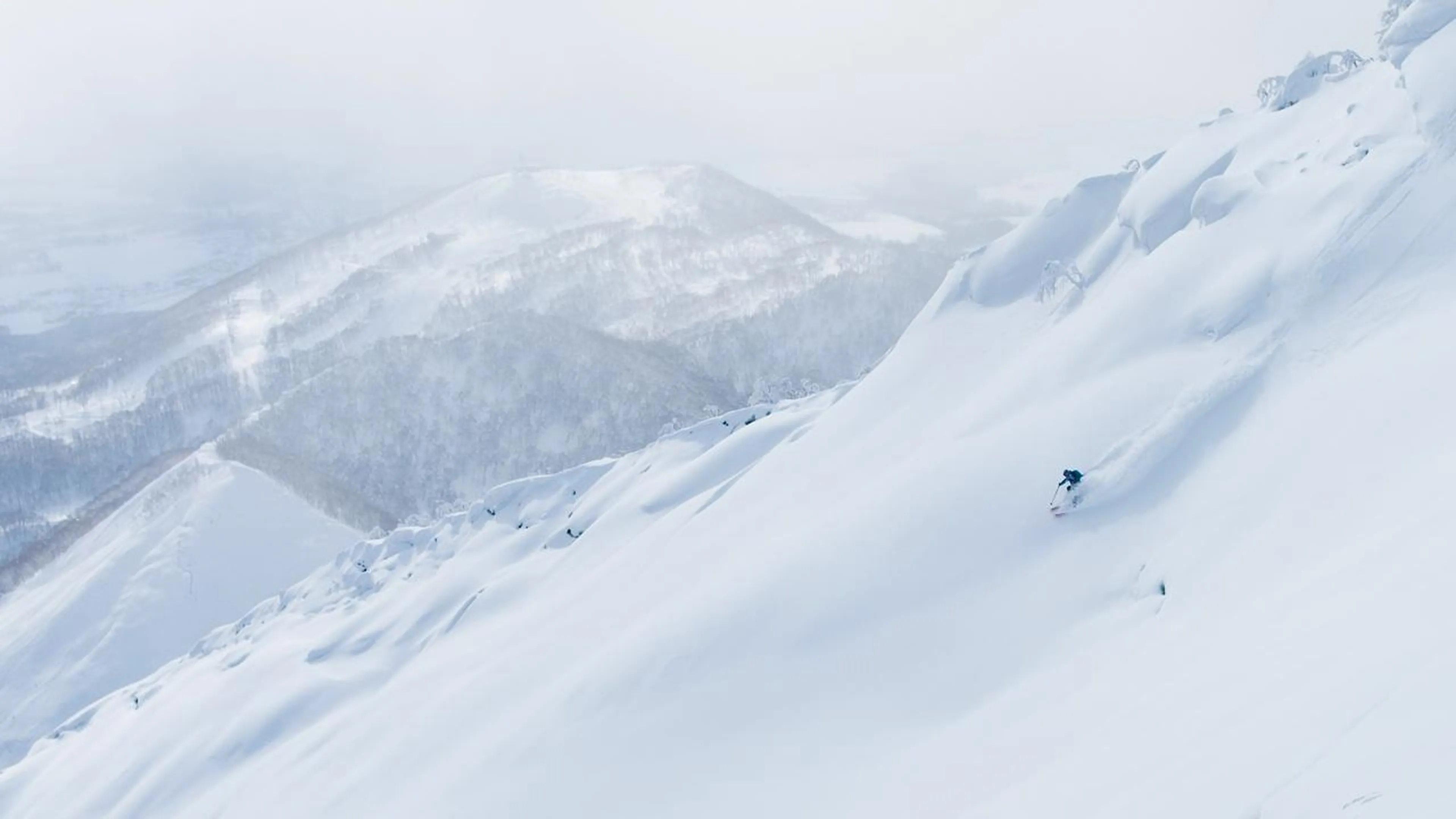 Powder skiing in Niseko
