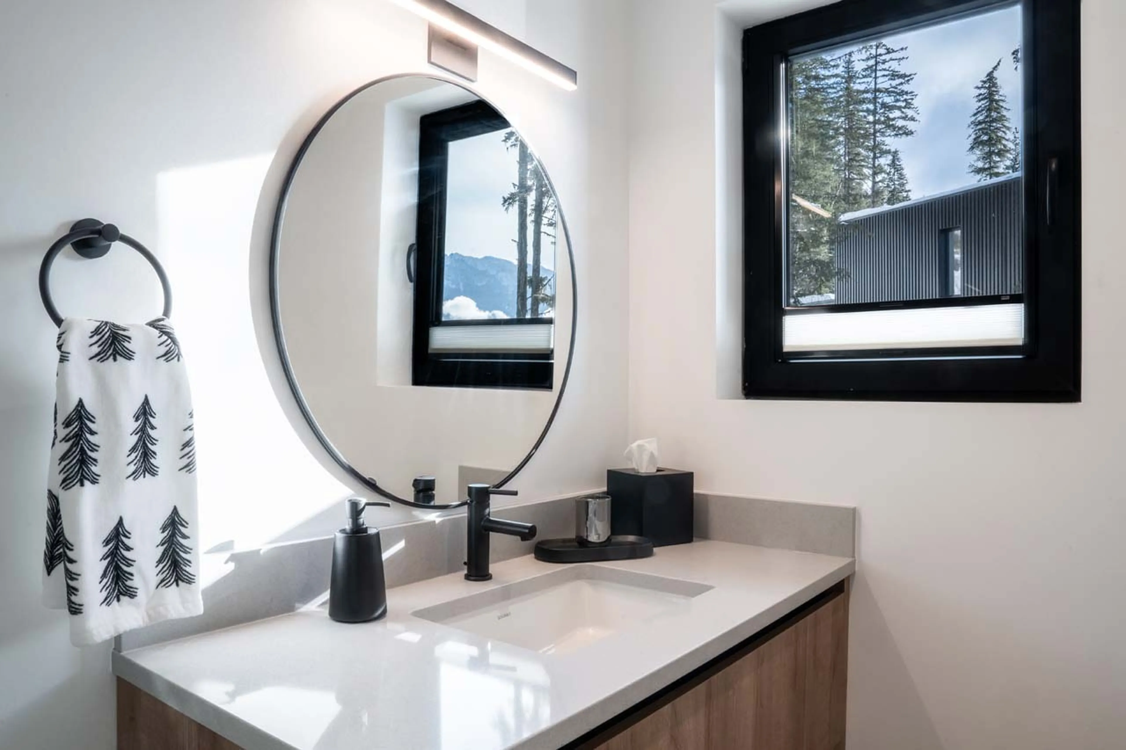 Basin in en-suite in Sitka Spruce Mountain, Revelstoke