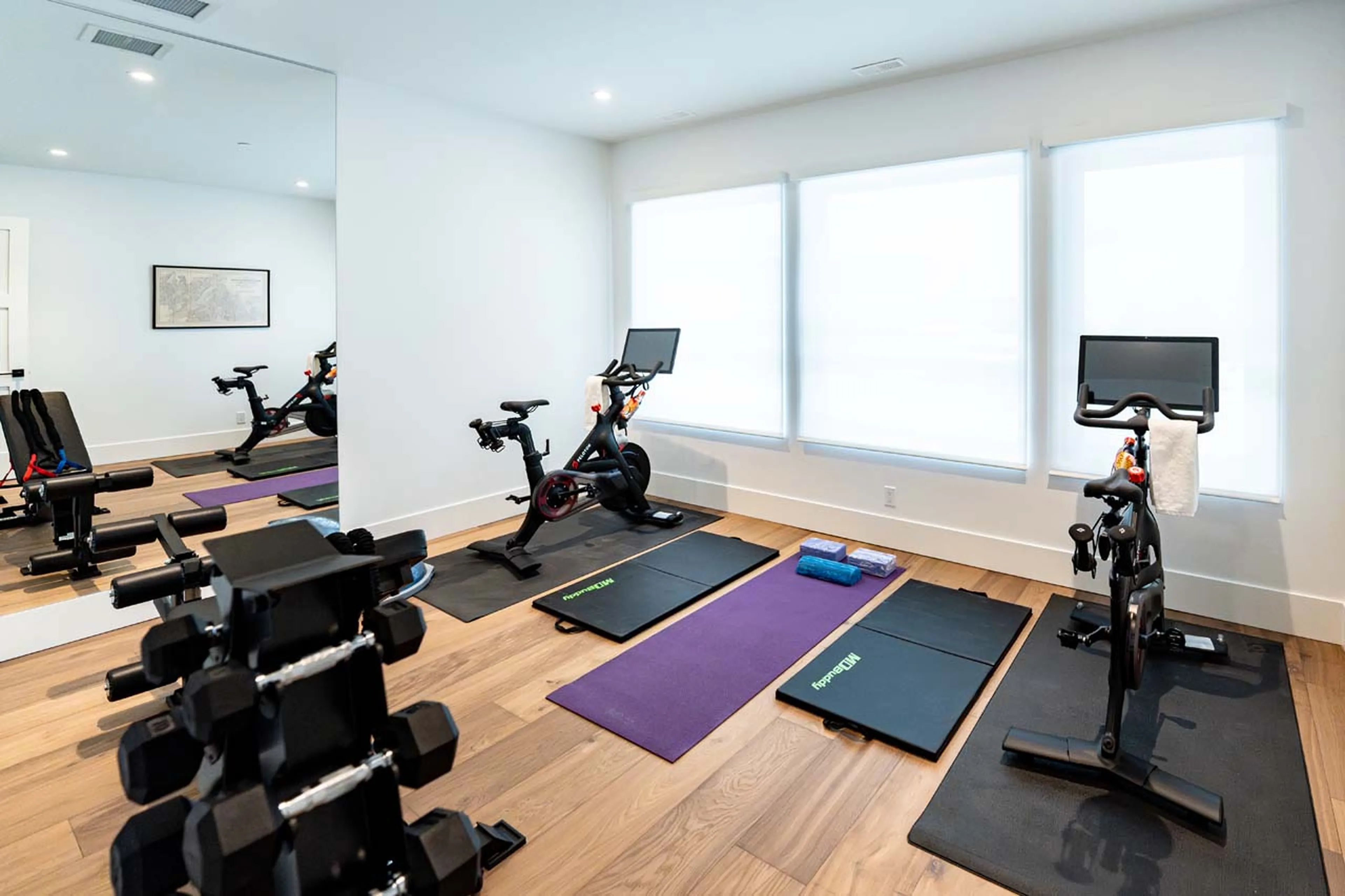 Gym in Sitka Spruce Mountain, Revelstoke