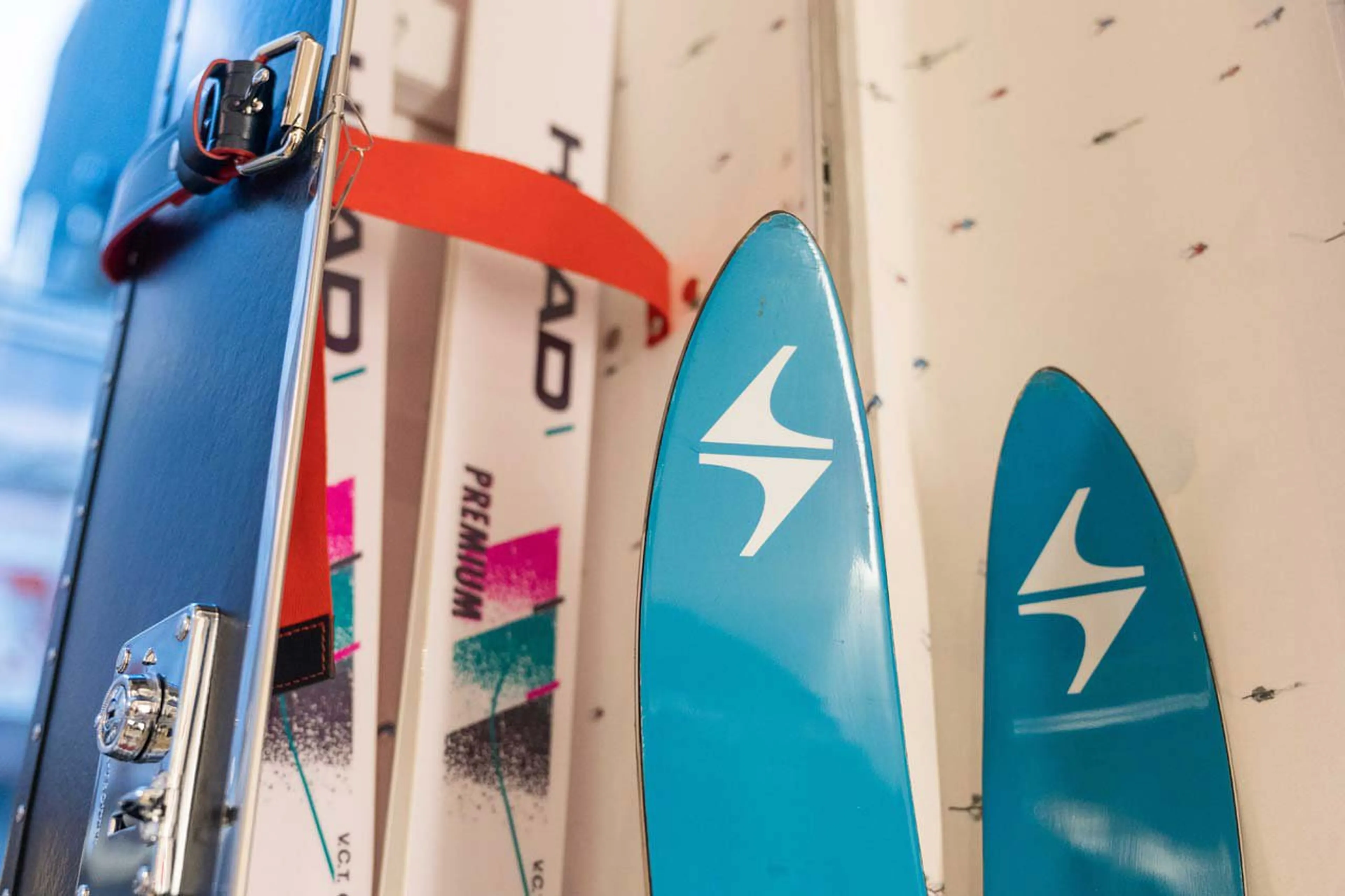 Globe Trotter x Leo Trippi ski case