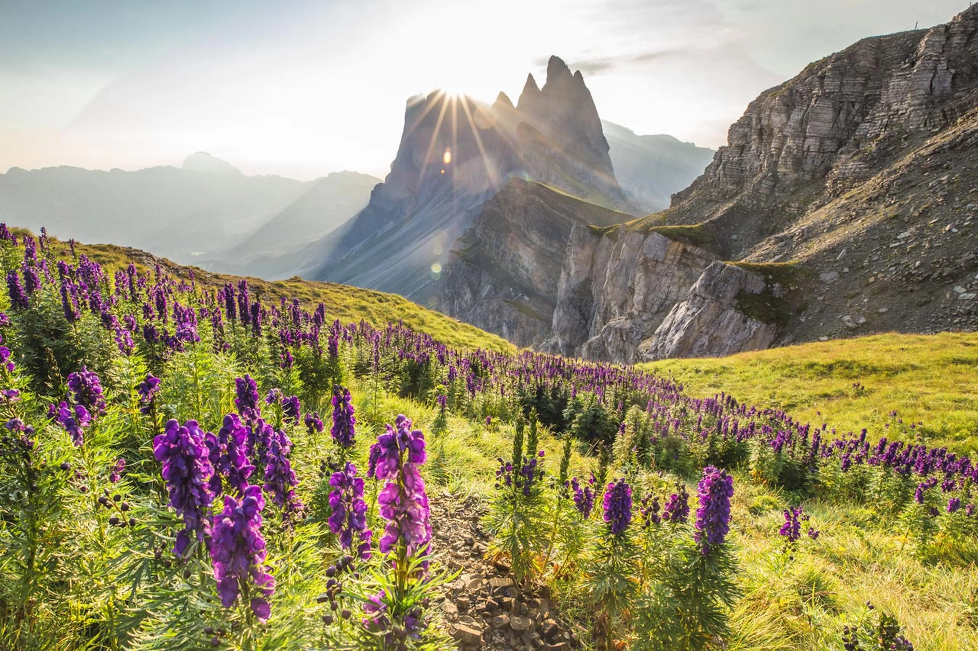 Summer holidays in the Dolomites