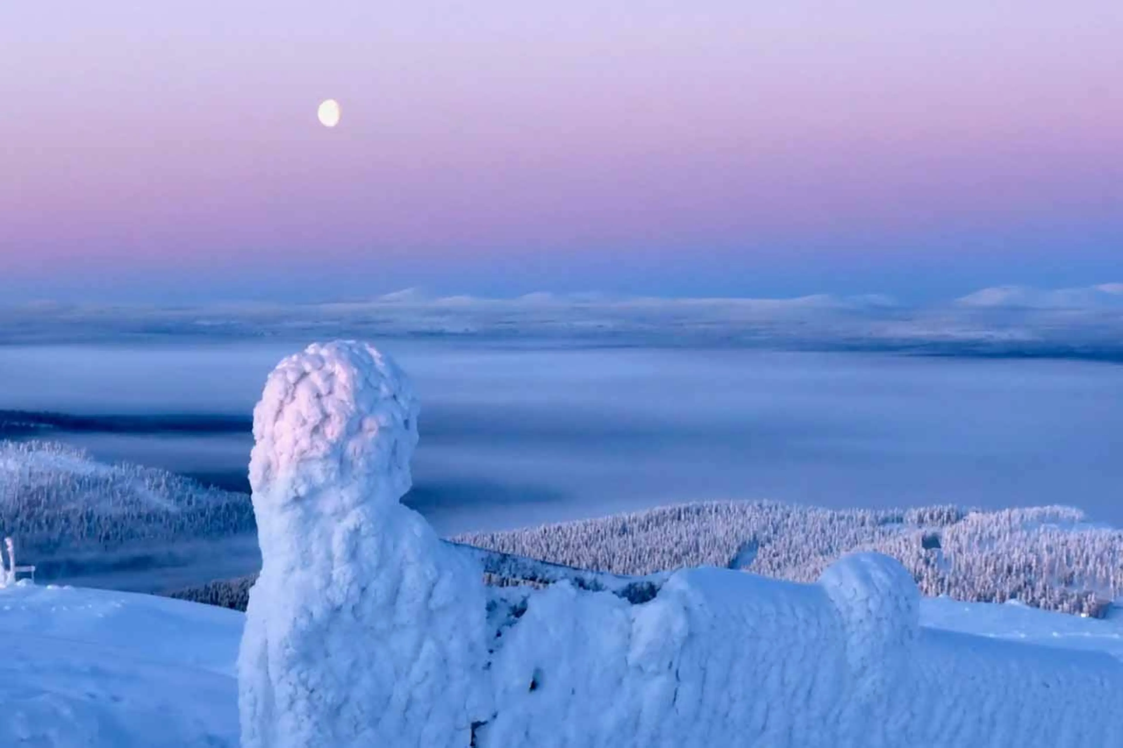 Surrounding snowy landscape at The Fell Lodge, Finland