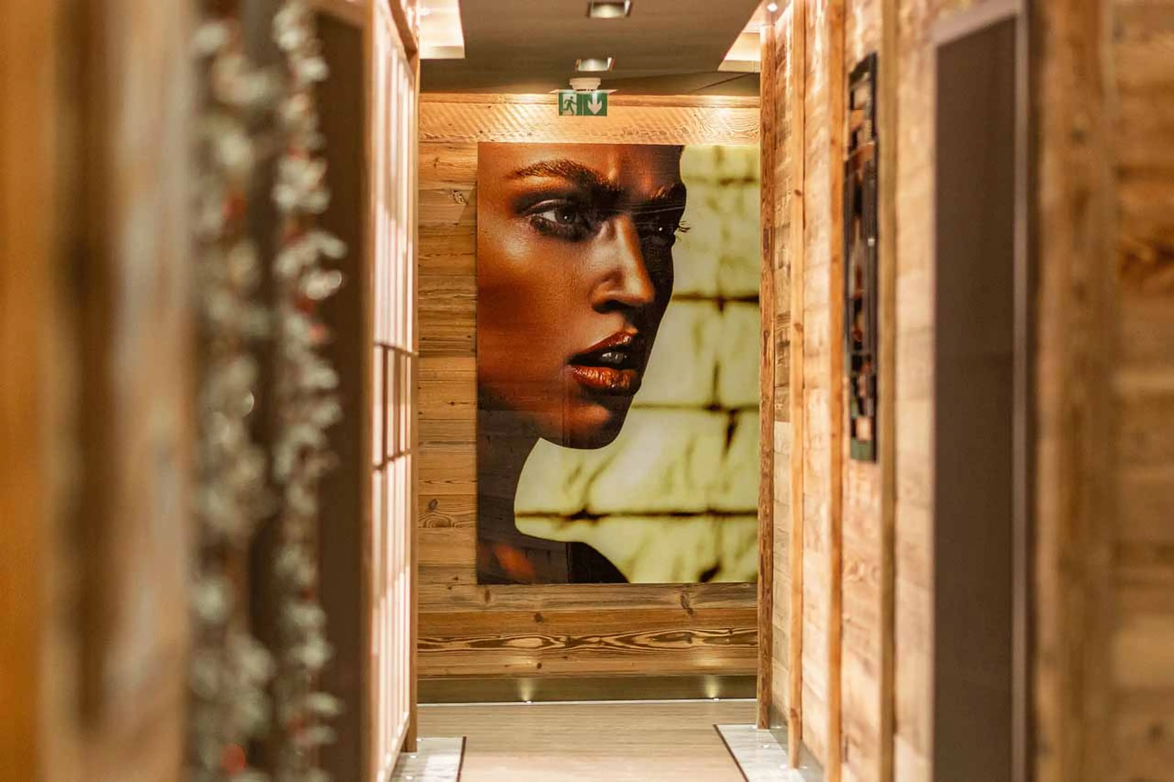 Artwork in Ultima Courchevel Prestige in Courchevel 1650