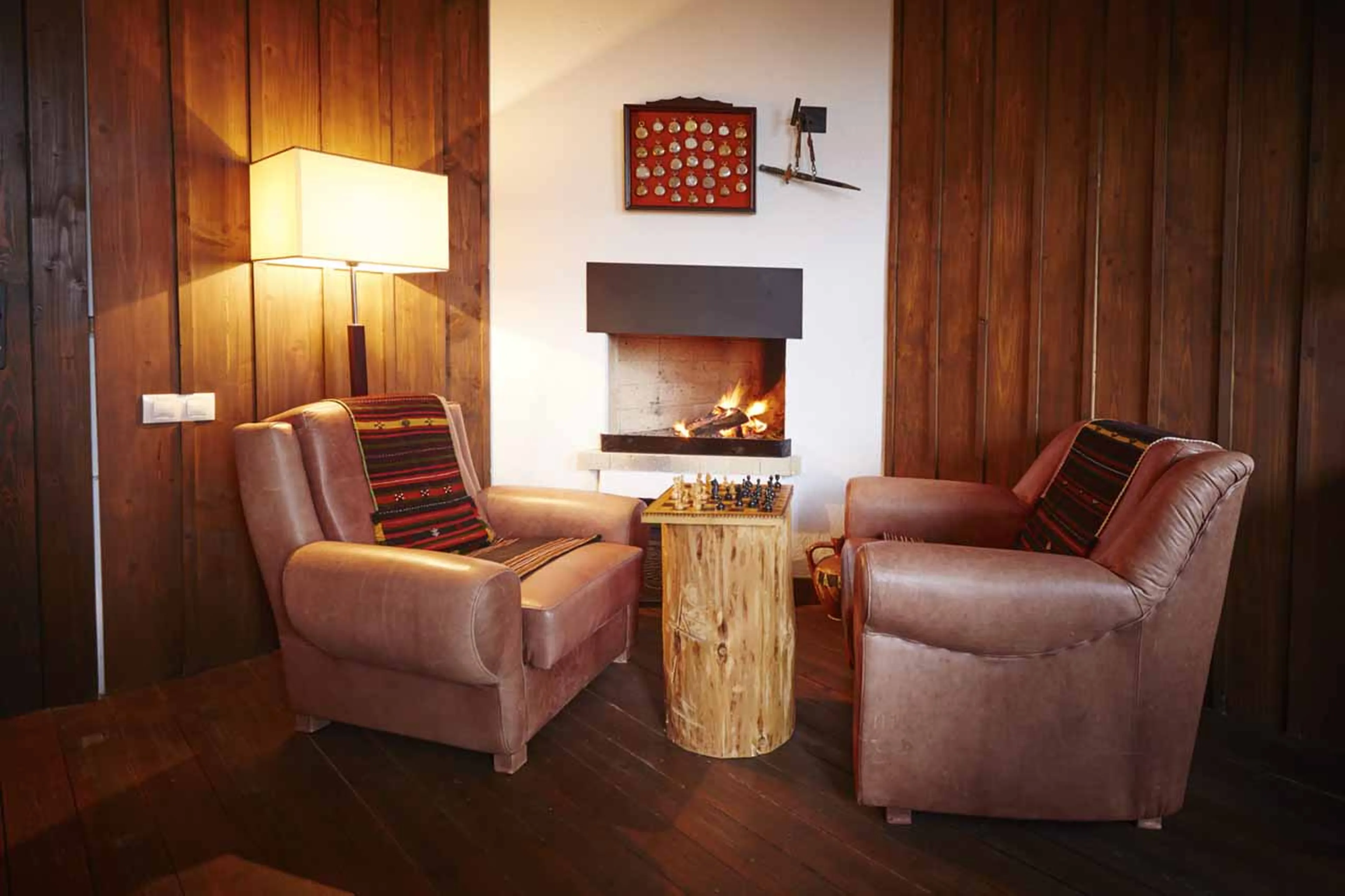 Library at Villa Gella in the Rhodope Mountains