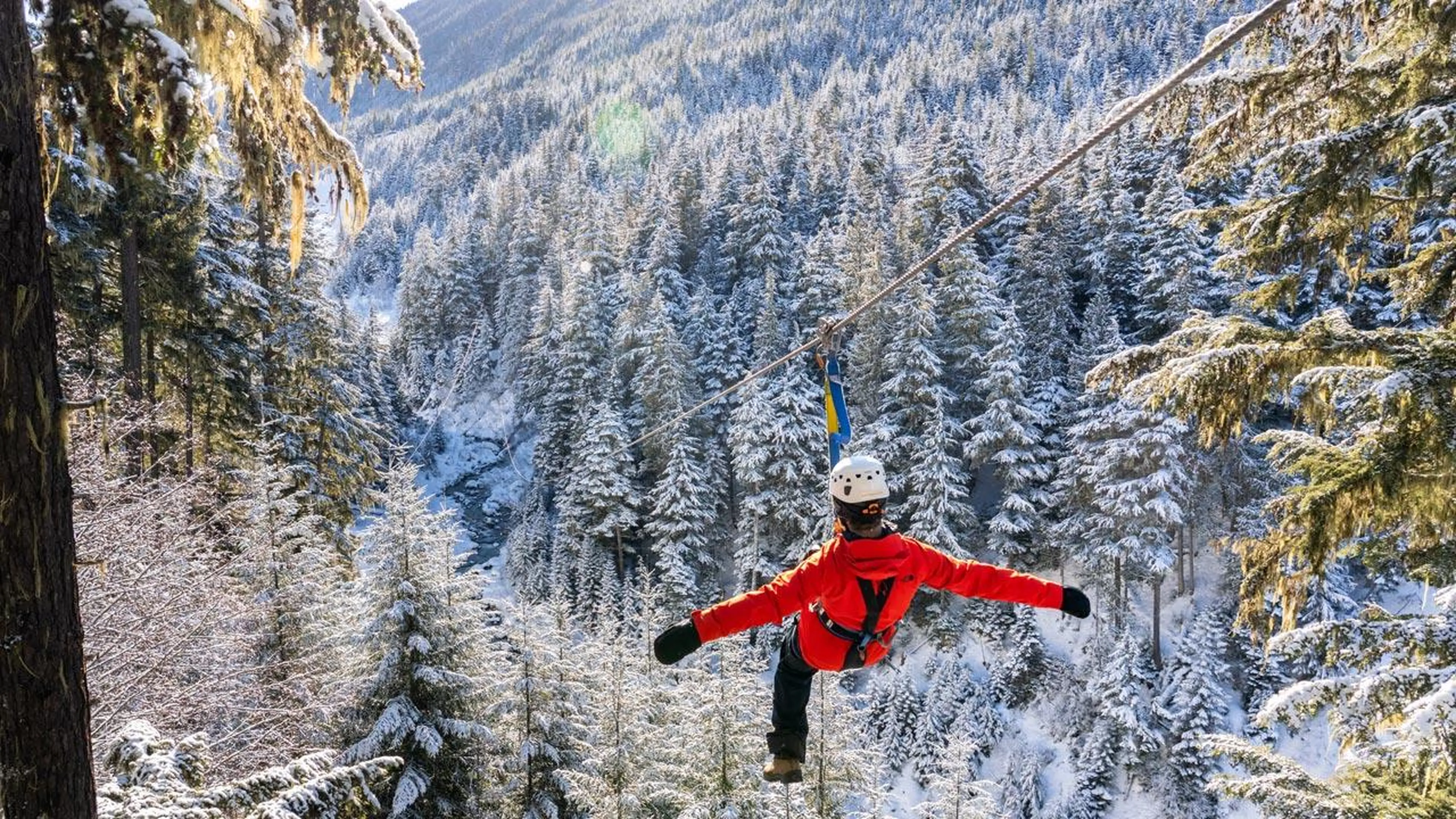 Ziplining in Whistler