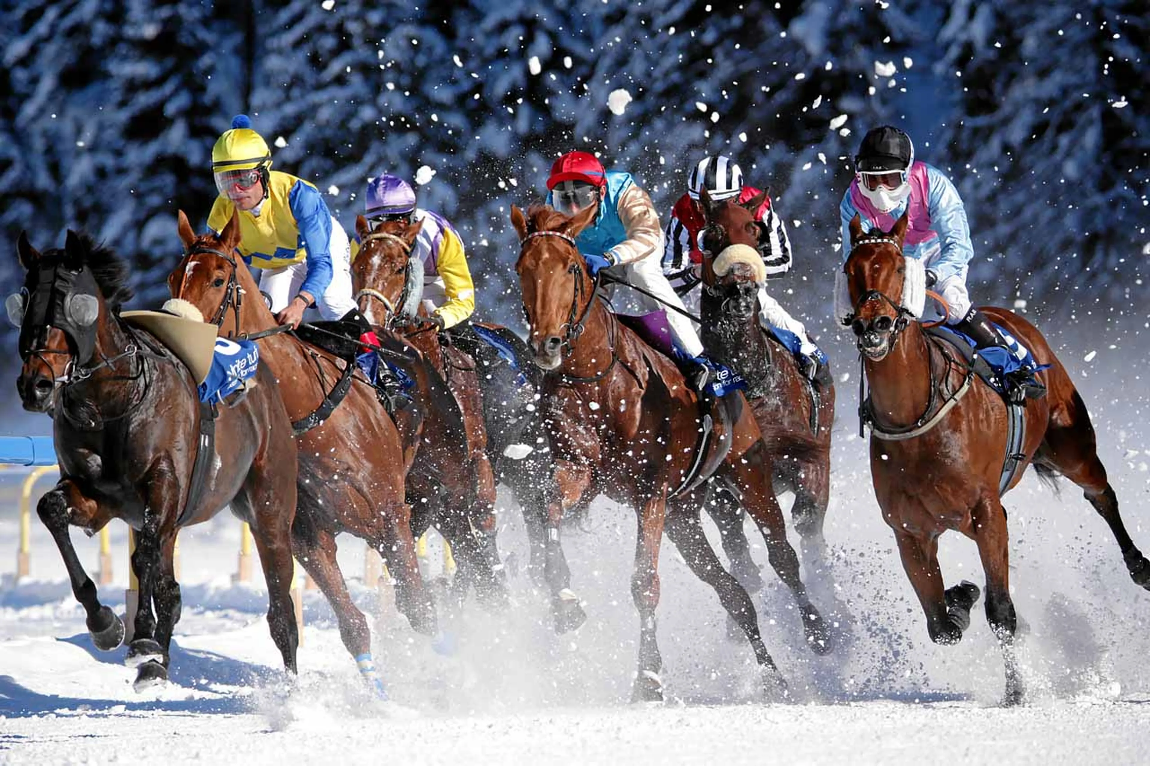 White Turf in St Moritz